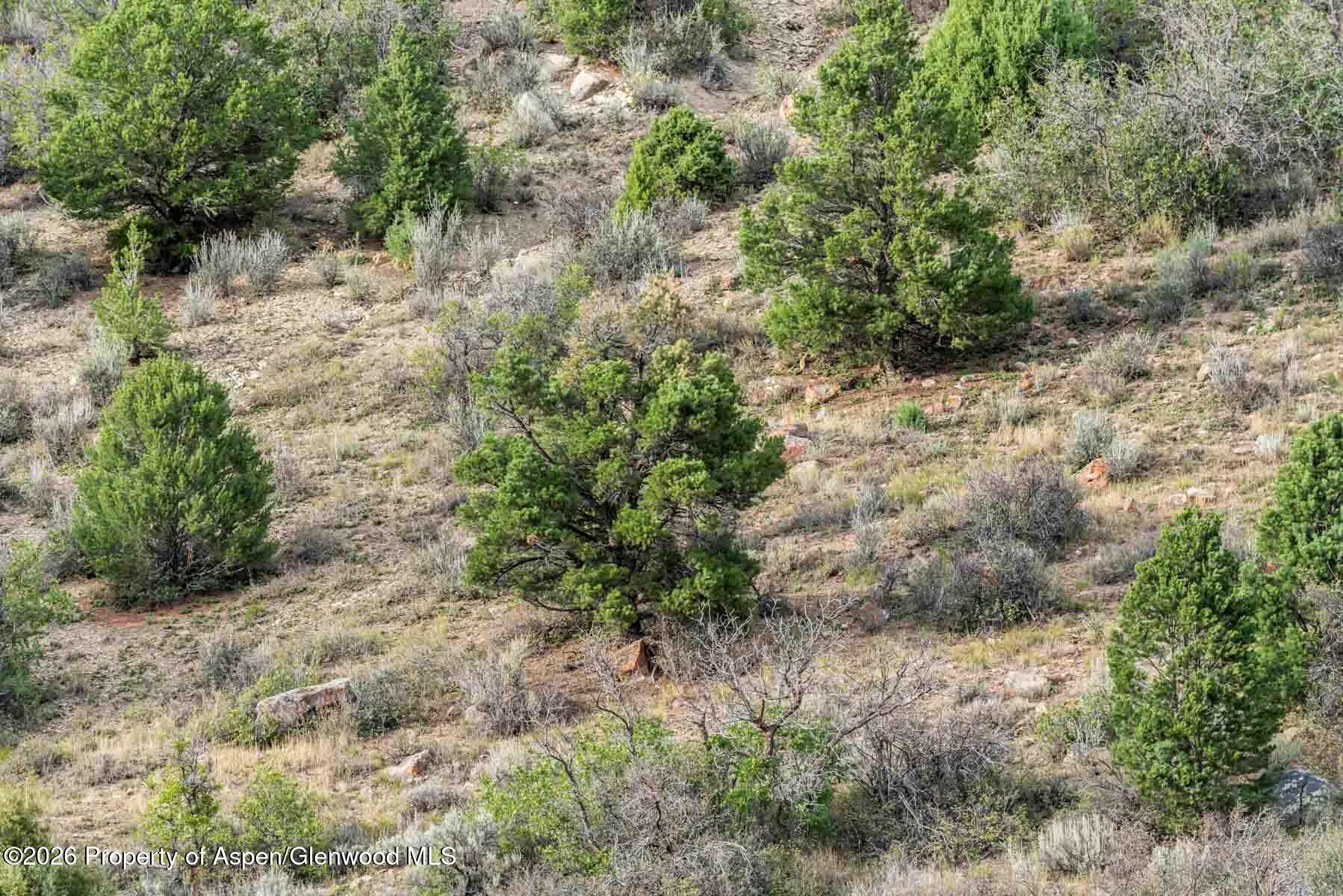 27760 Highway 13 Meeker CO 81641