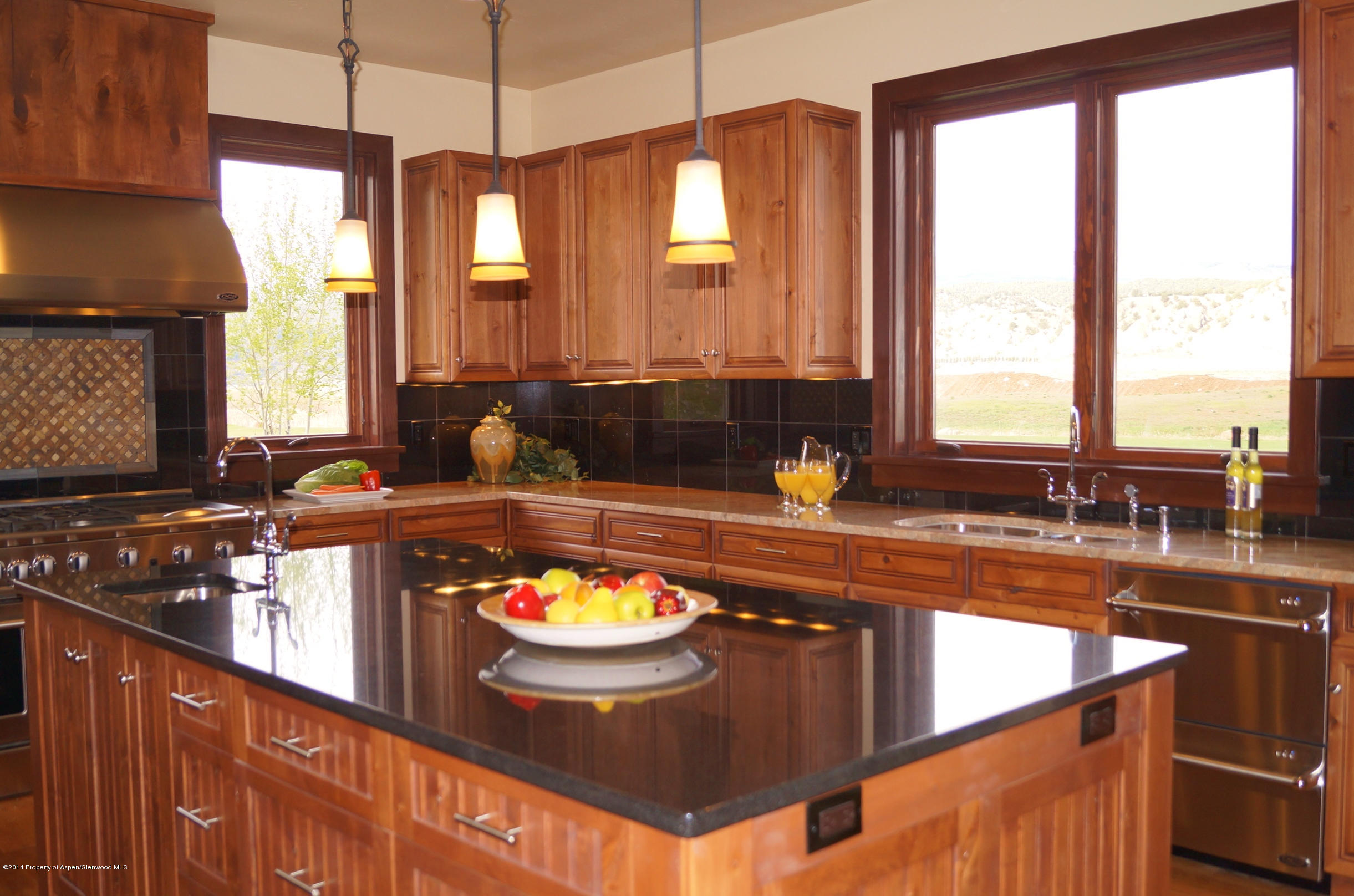 16 Spring Loop Carbondale CO 81623