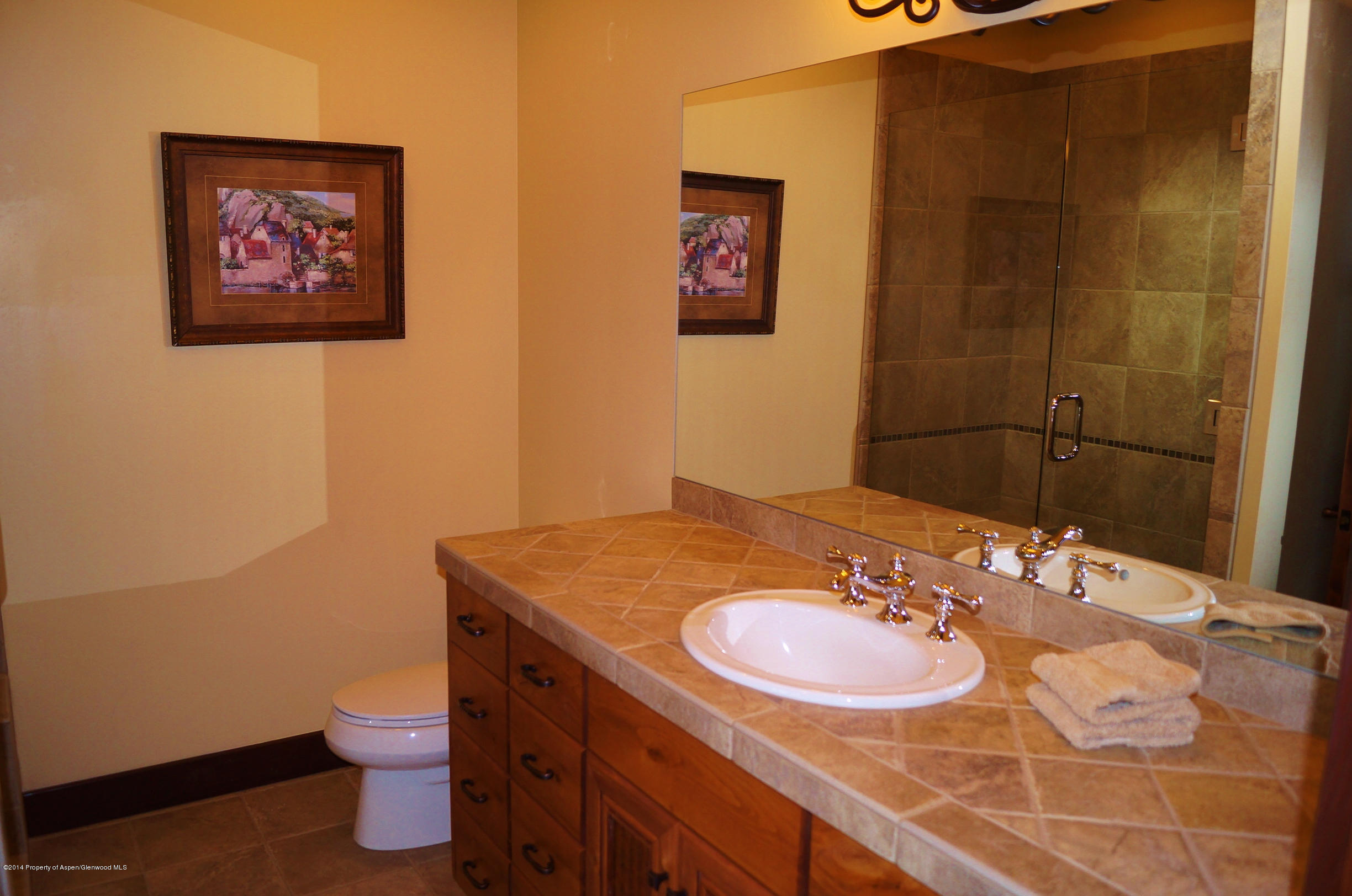 16 Spring Loop Carbondale CO 81623