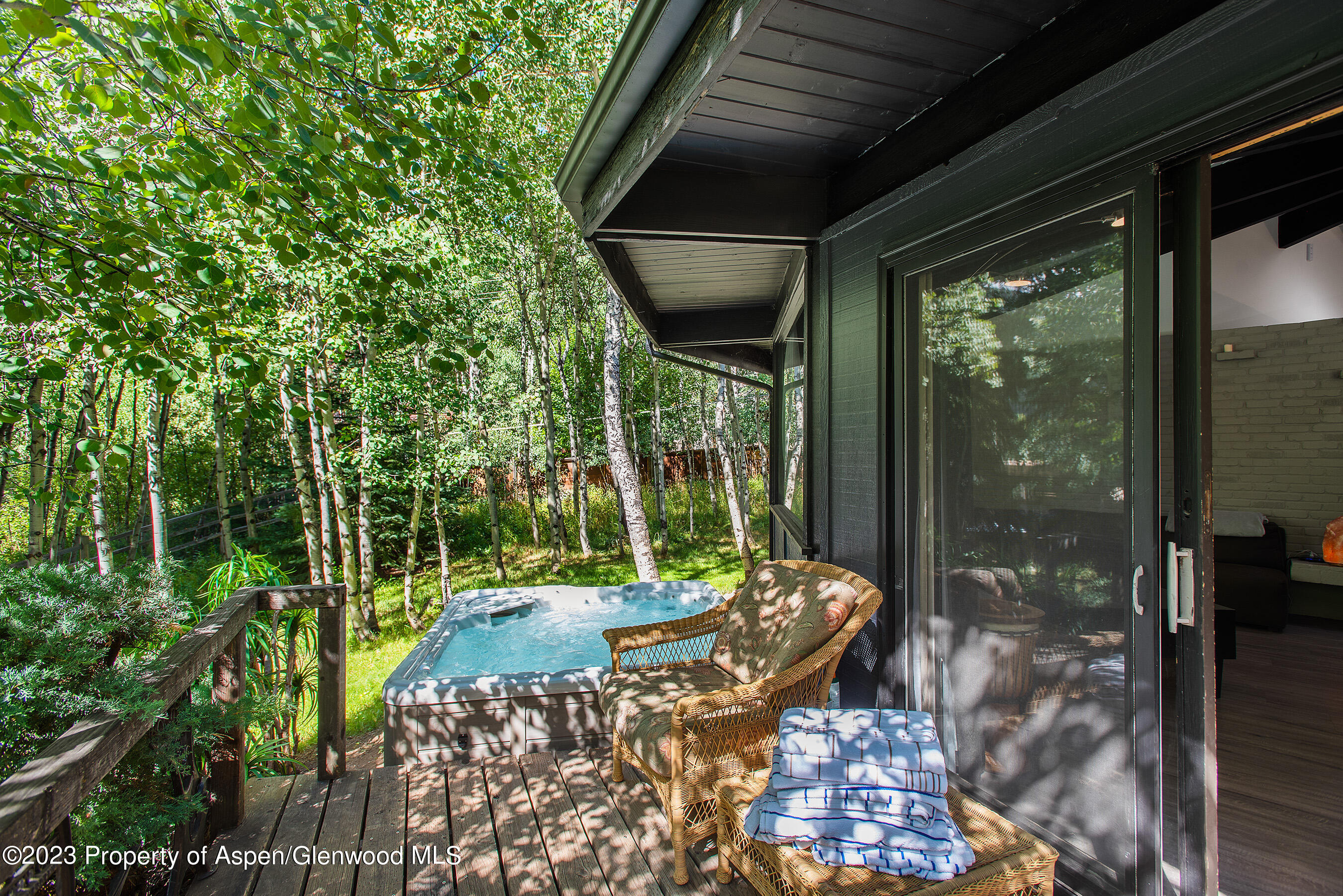 182 W Lupine Drive Aspen CO 81611