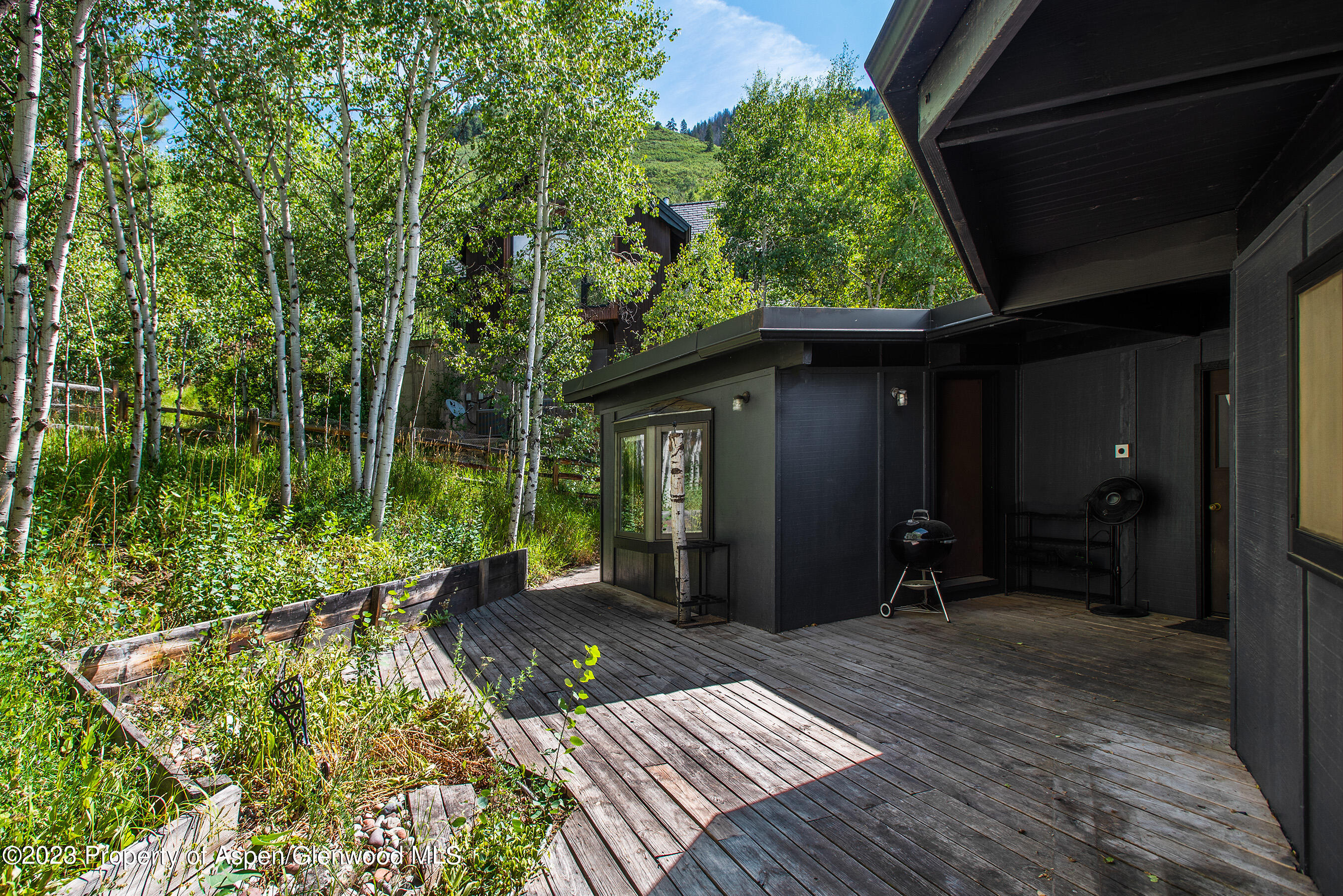 182 W Lupine Drive Aspen CO 81611