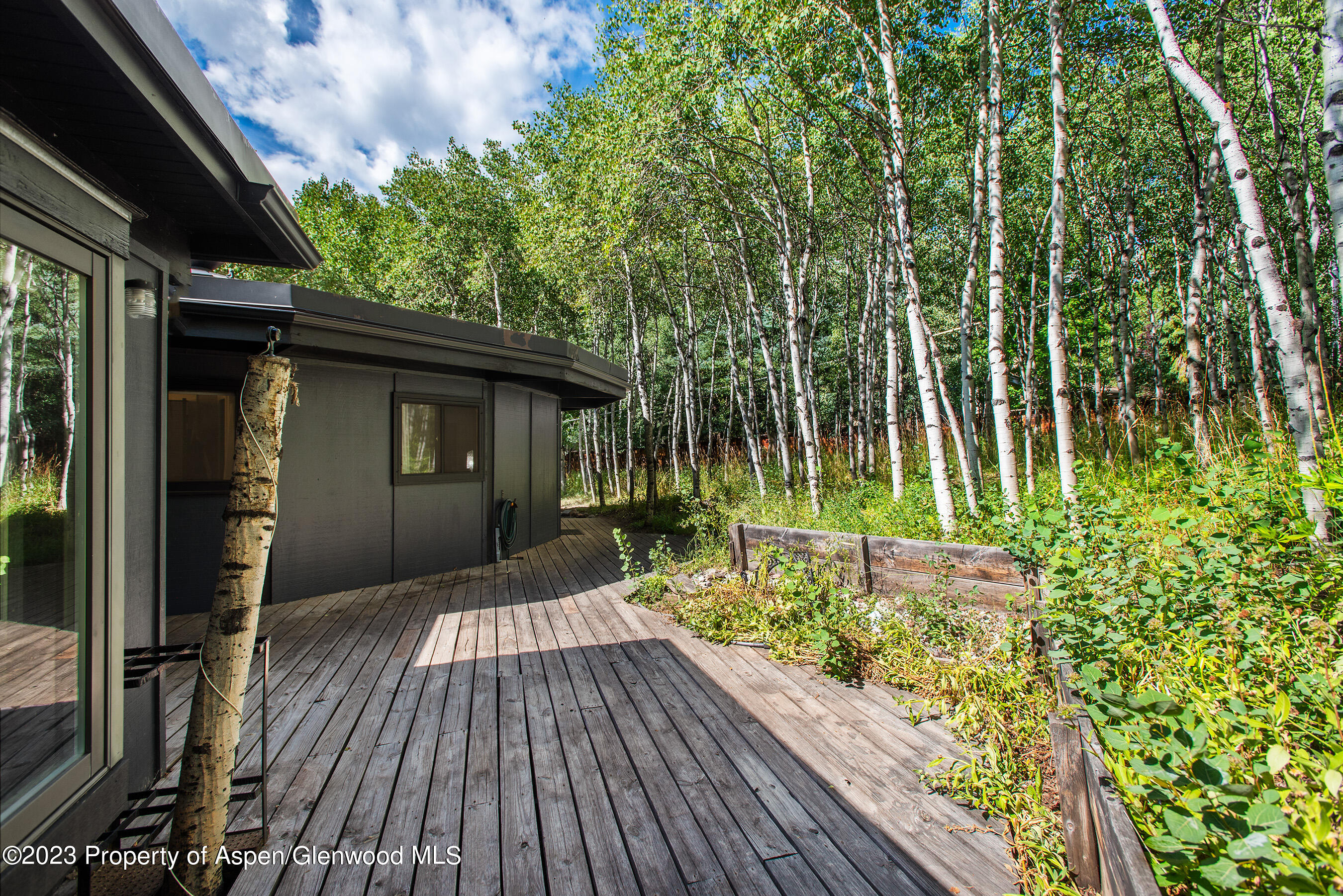 182 W Lupine Drive Aspen CO 81611