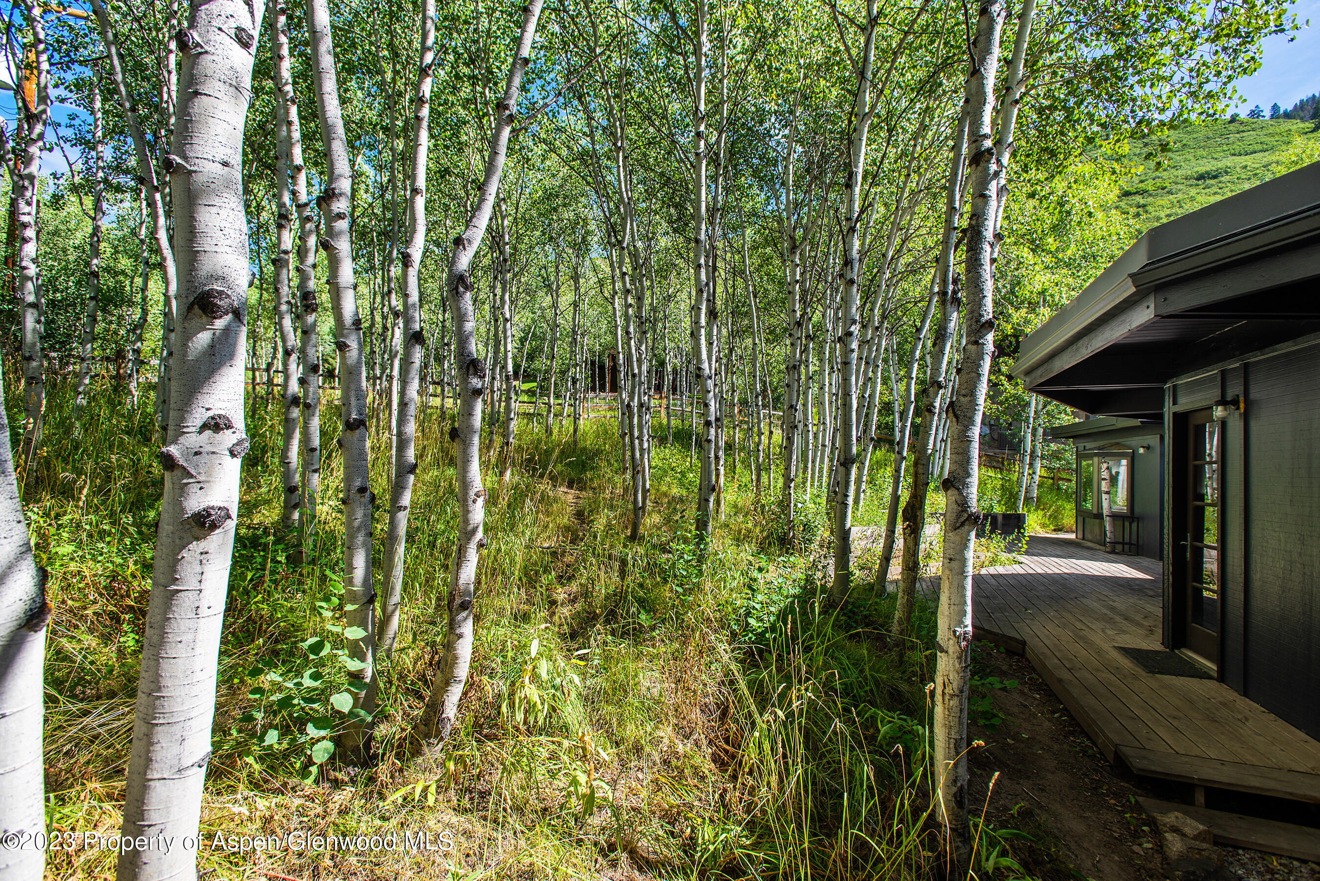 182 W Lupine Drive Aspen CO 81611