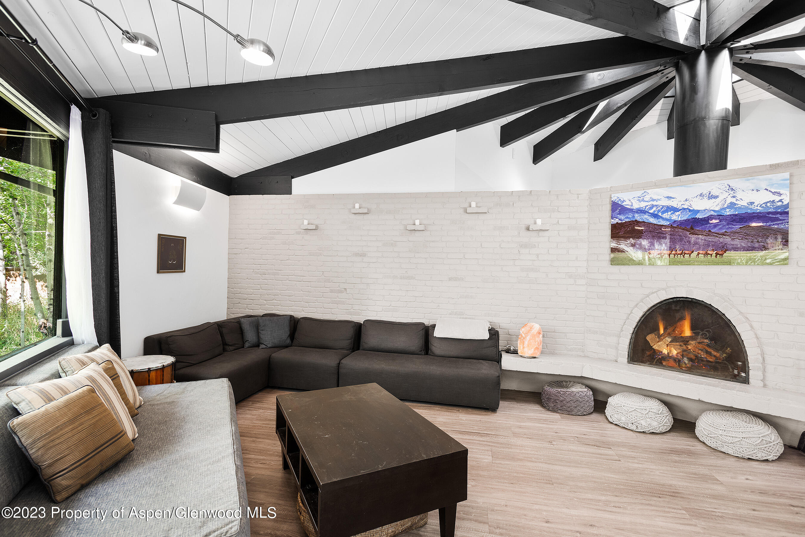 182 W Lupine Drive Aspen CO 81611