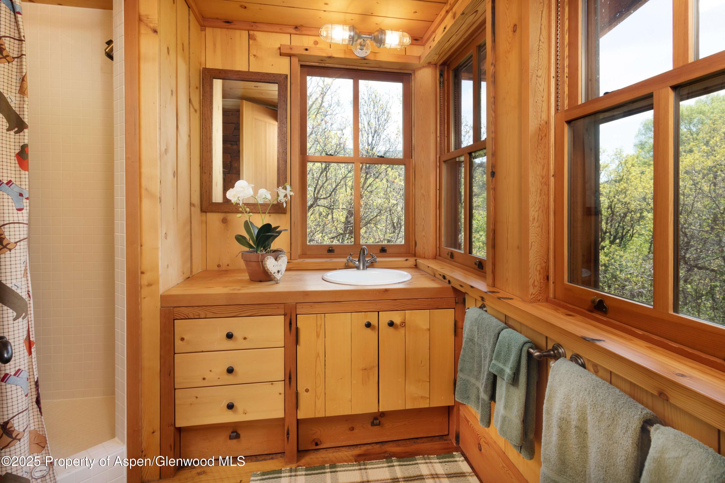 5548 Frying Pan Road Basalt CO 81621