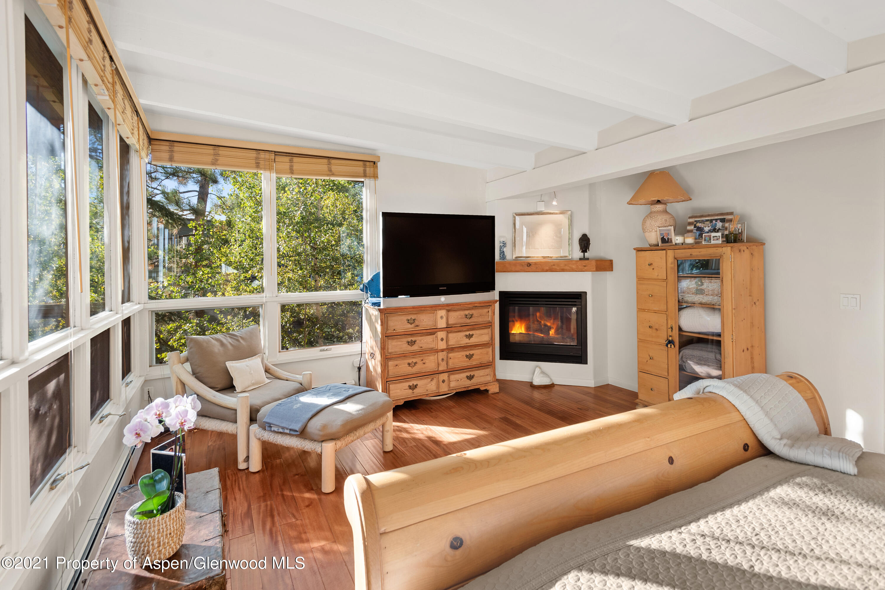 1245 Riverside Drive Aspen CO 81611