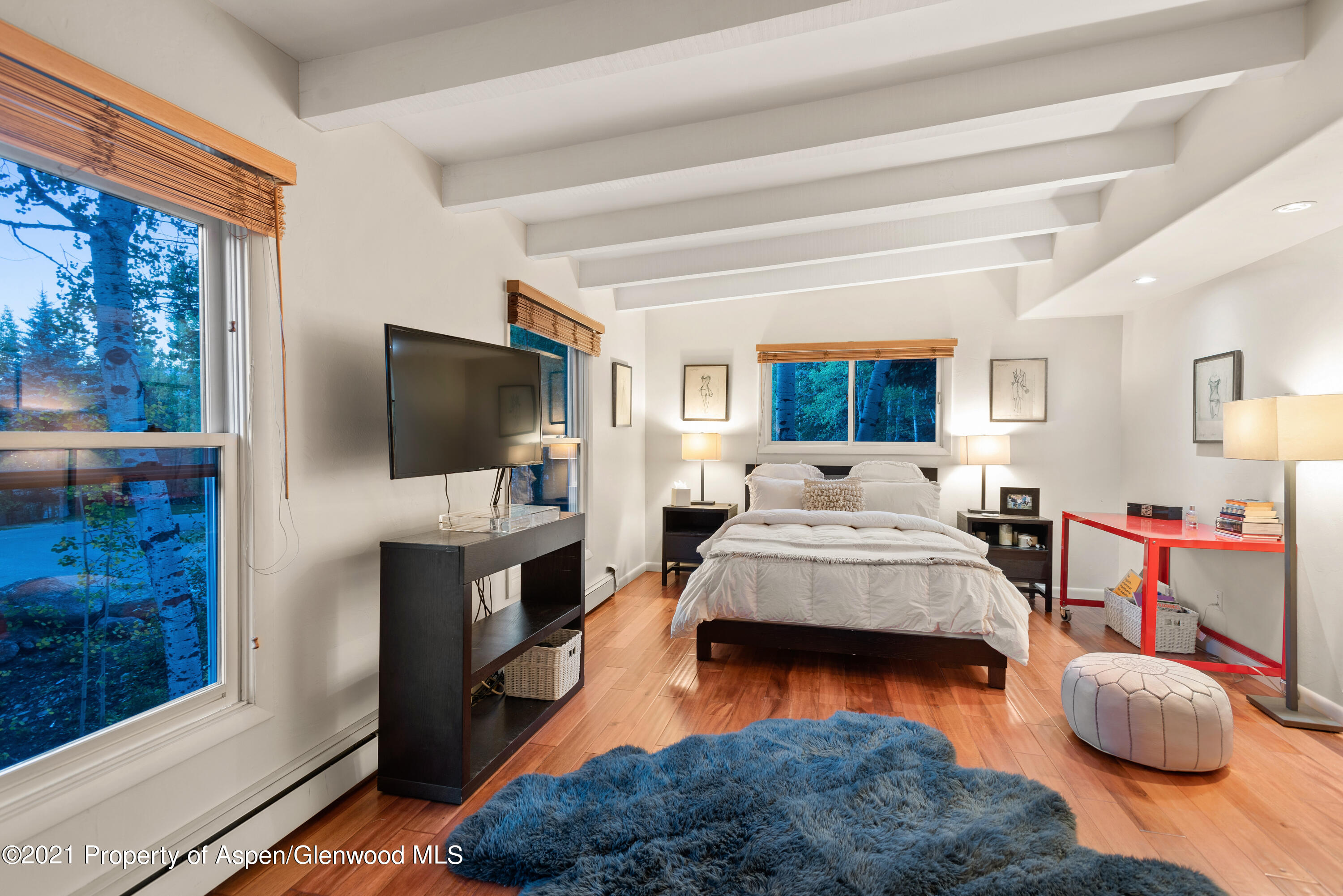 1245 Riverside Drive Aspen CO 81611