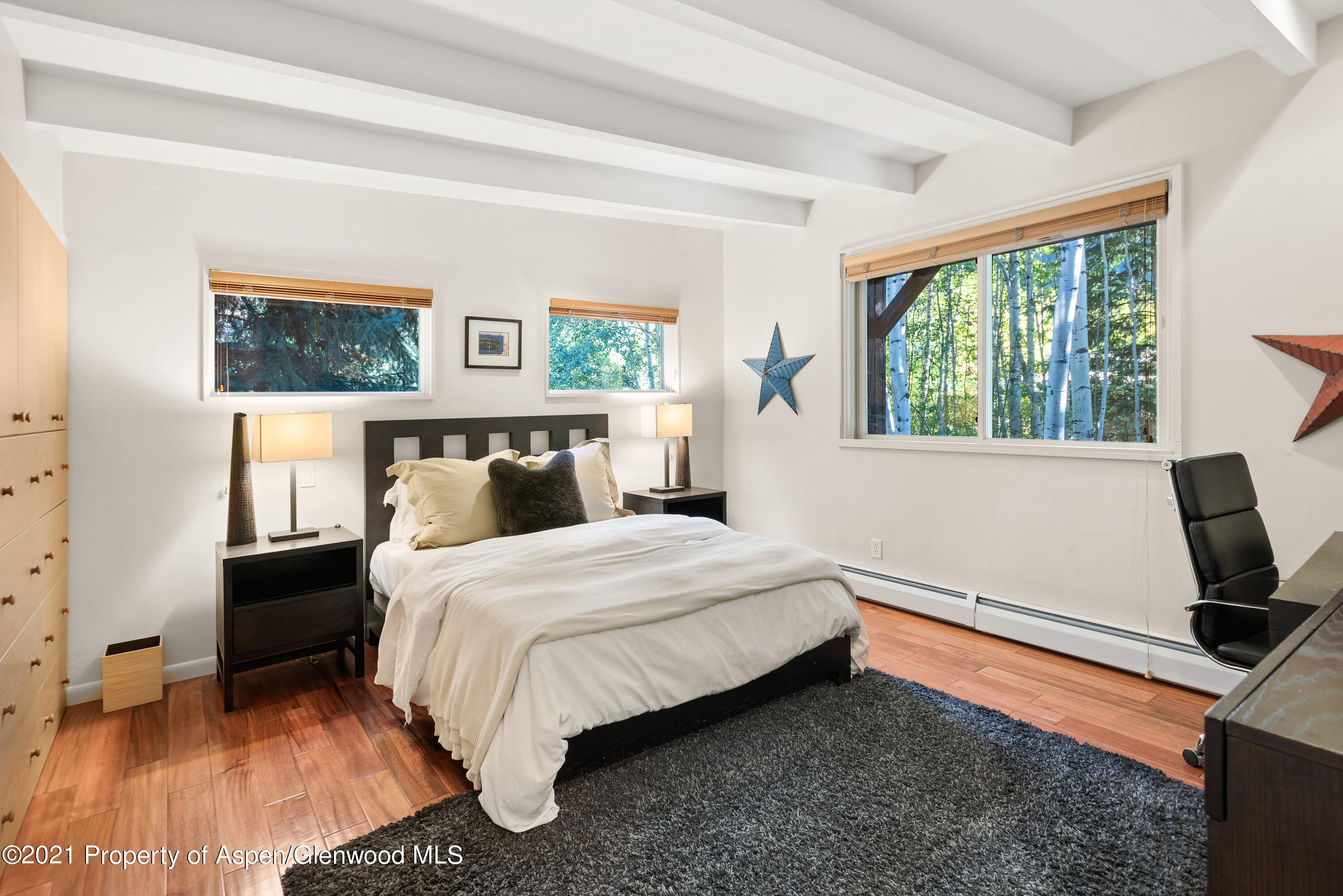 1245 Riverside Drive Aspen CO 81611