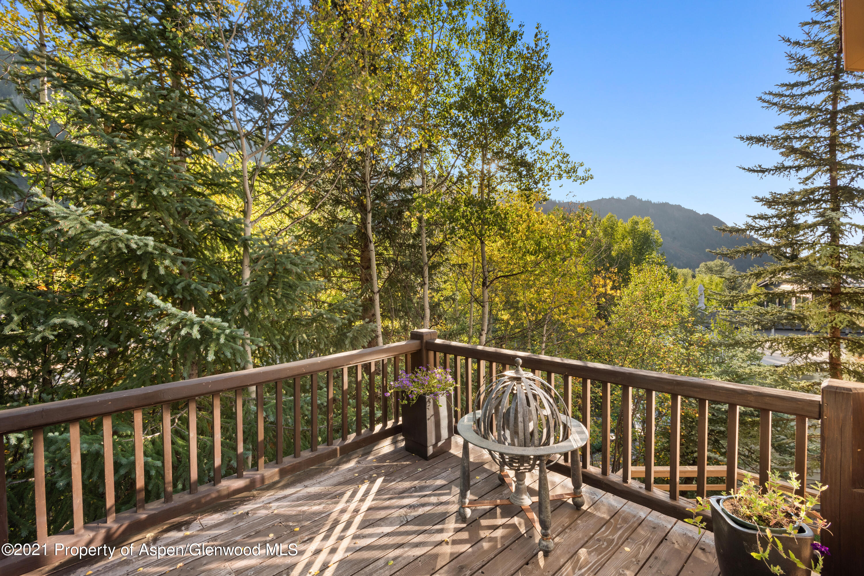 1245 Riverside Drive Aspen CO 81611