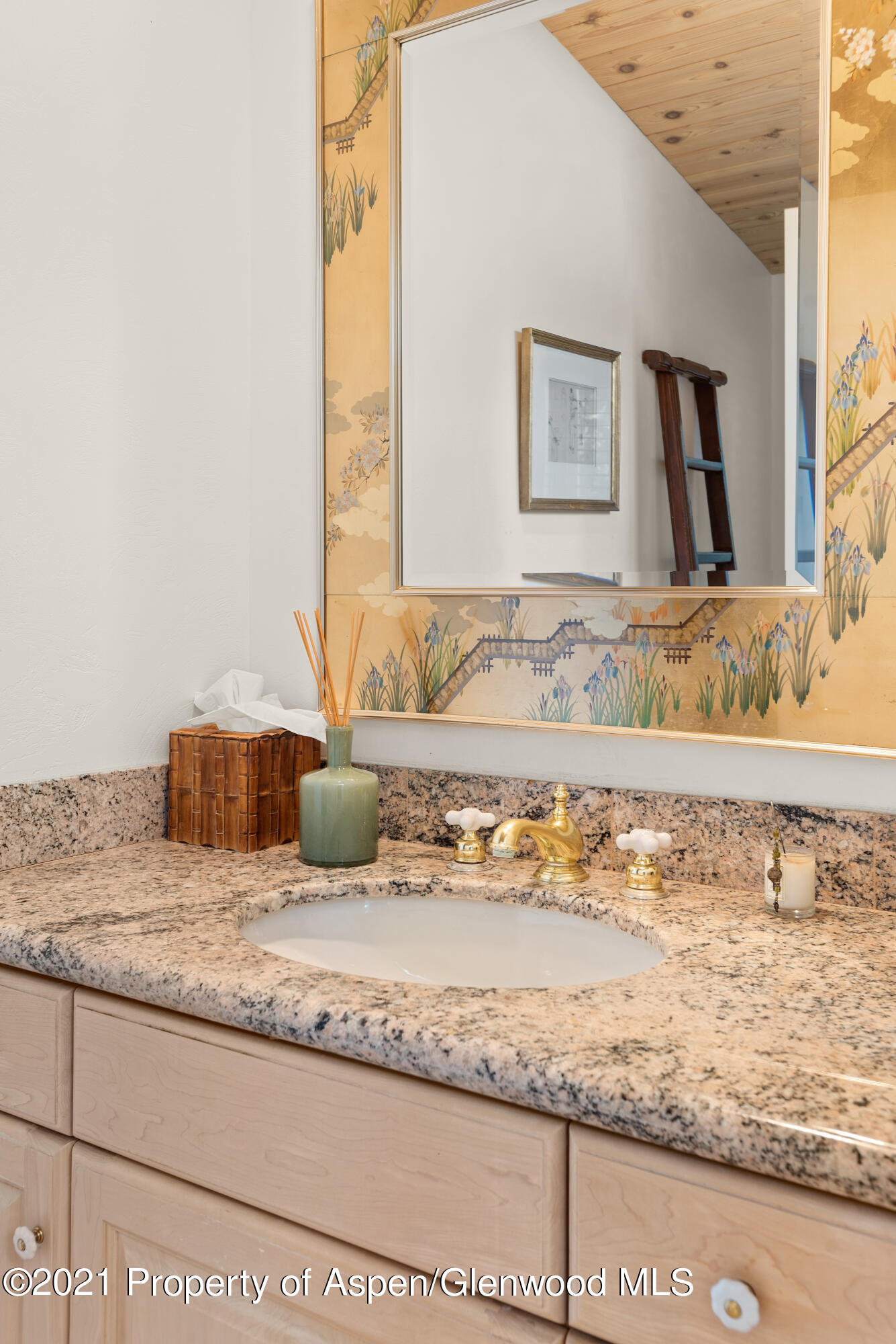 1245 Riverside Drive Aspen CO 81611