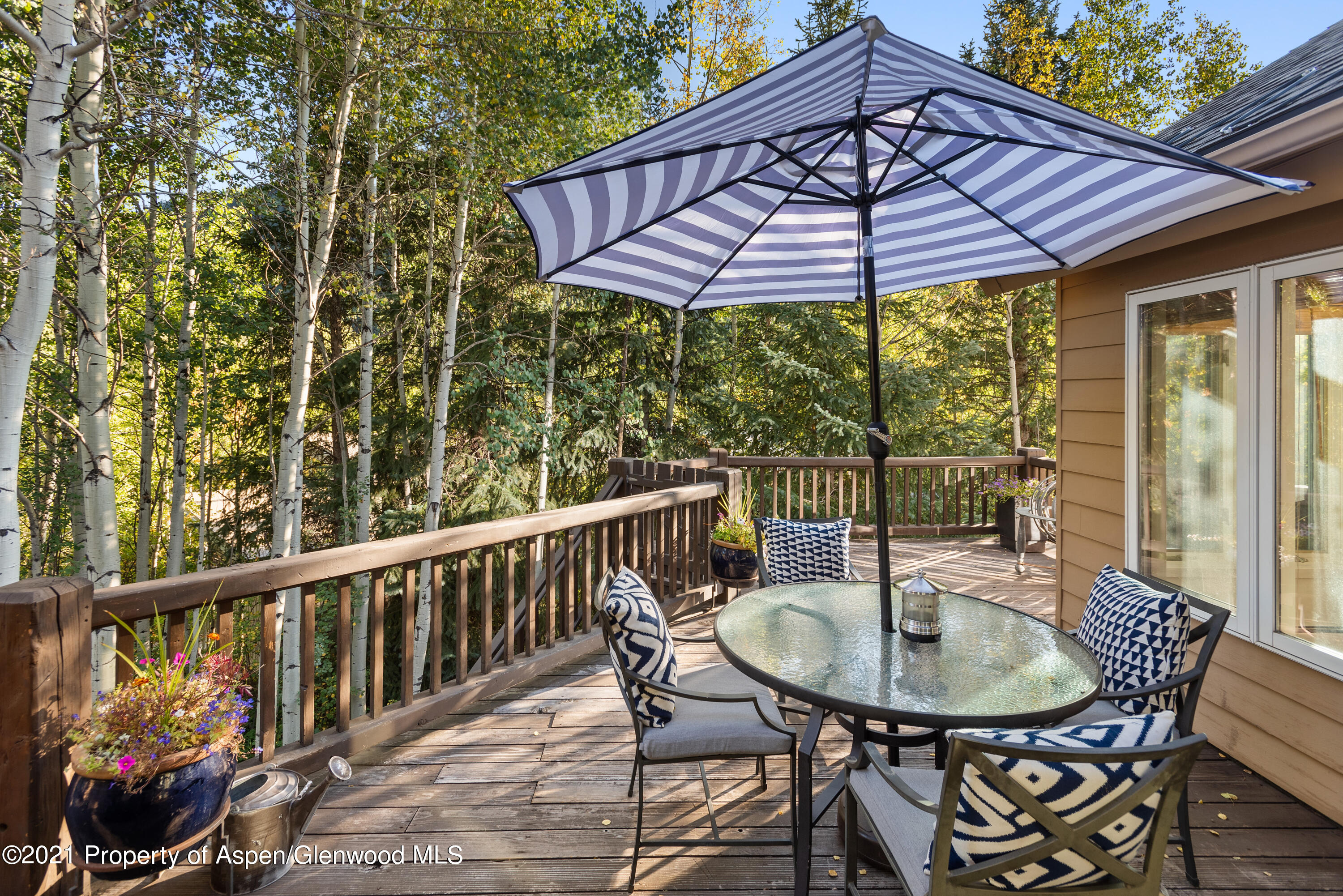 1245 Riverside Drive Aspen CO 81611