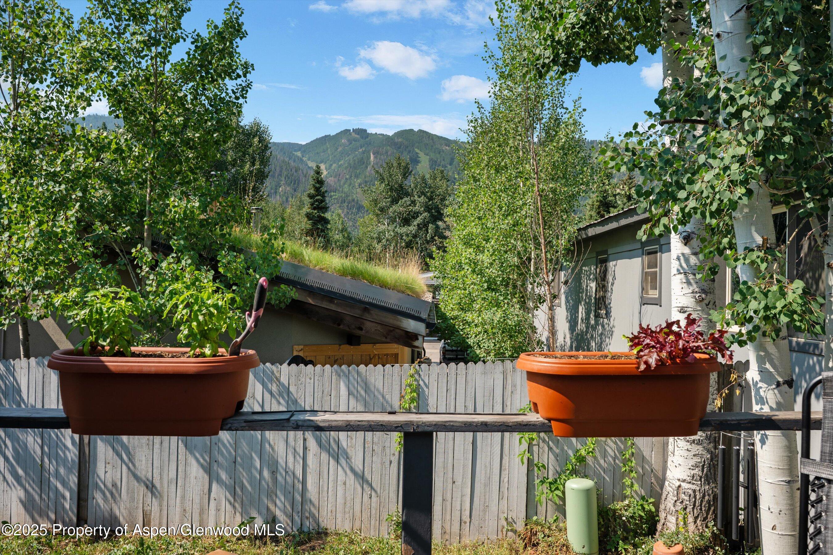 306 Oak Lane Aspen CO 81611