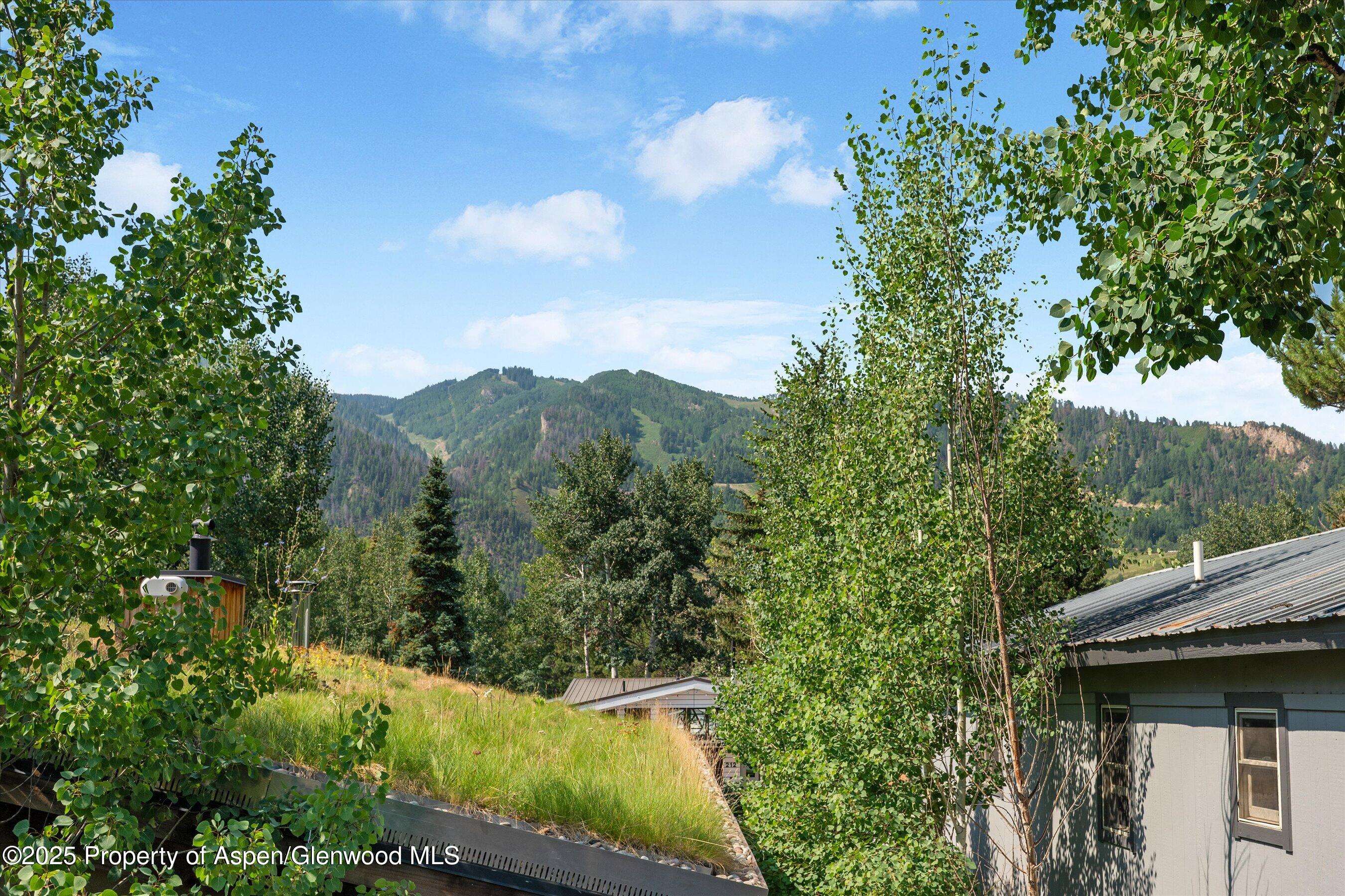 306 Oak Lane Aspen CO 81611