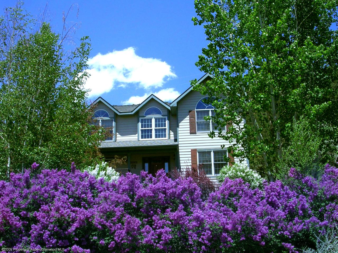 542 Black Bear Trail Carbondale CO 81623