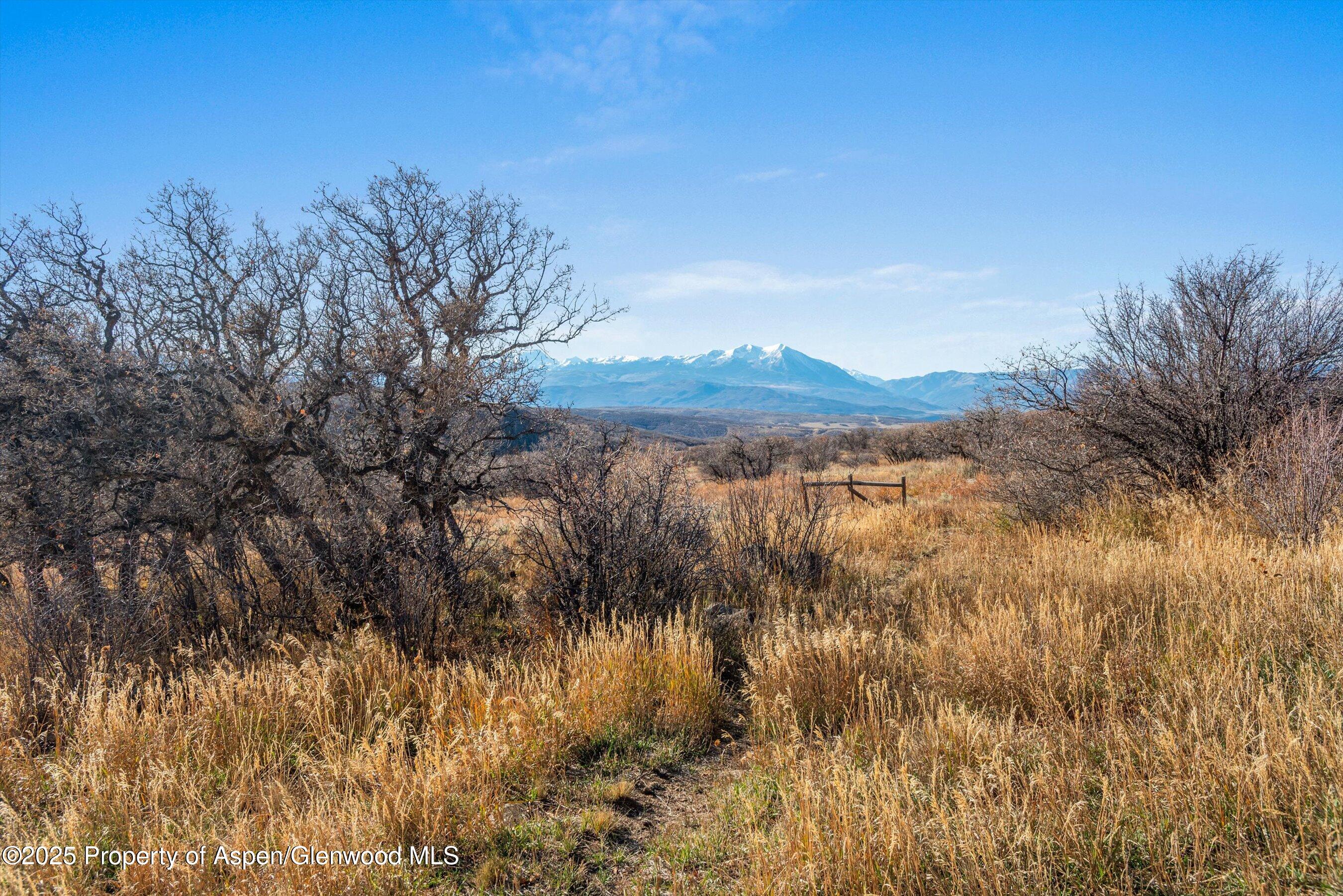 656 Buck Point Drive Carbondale CO 81623