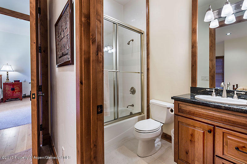 18 Leonis Lane Carbondale CO 81623