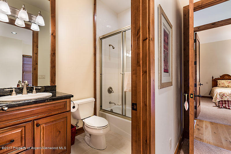 18 Leonis Lane Carbondale CO 81623