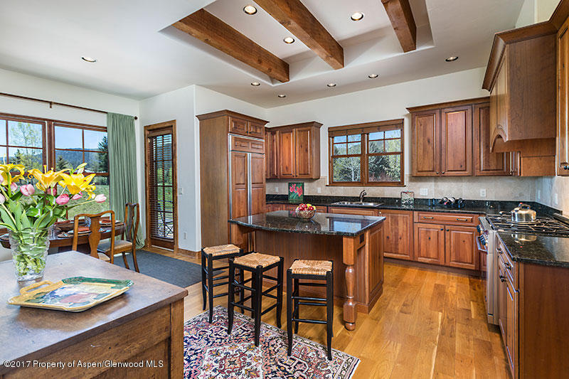 18 Leonis Lane Carbondale CO 81623