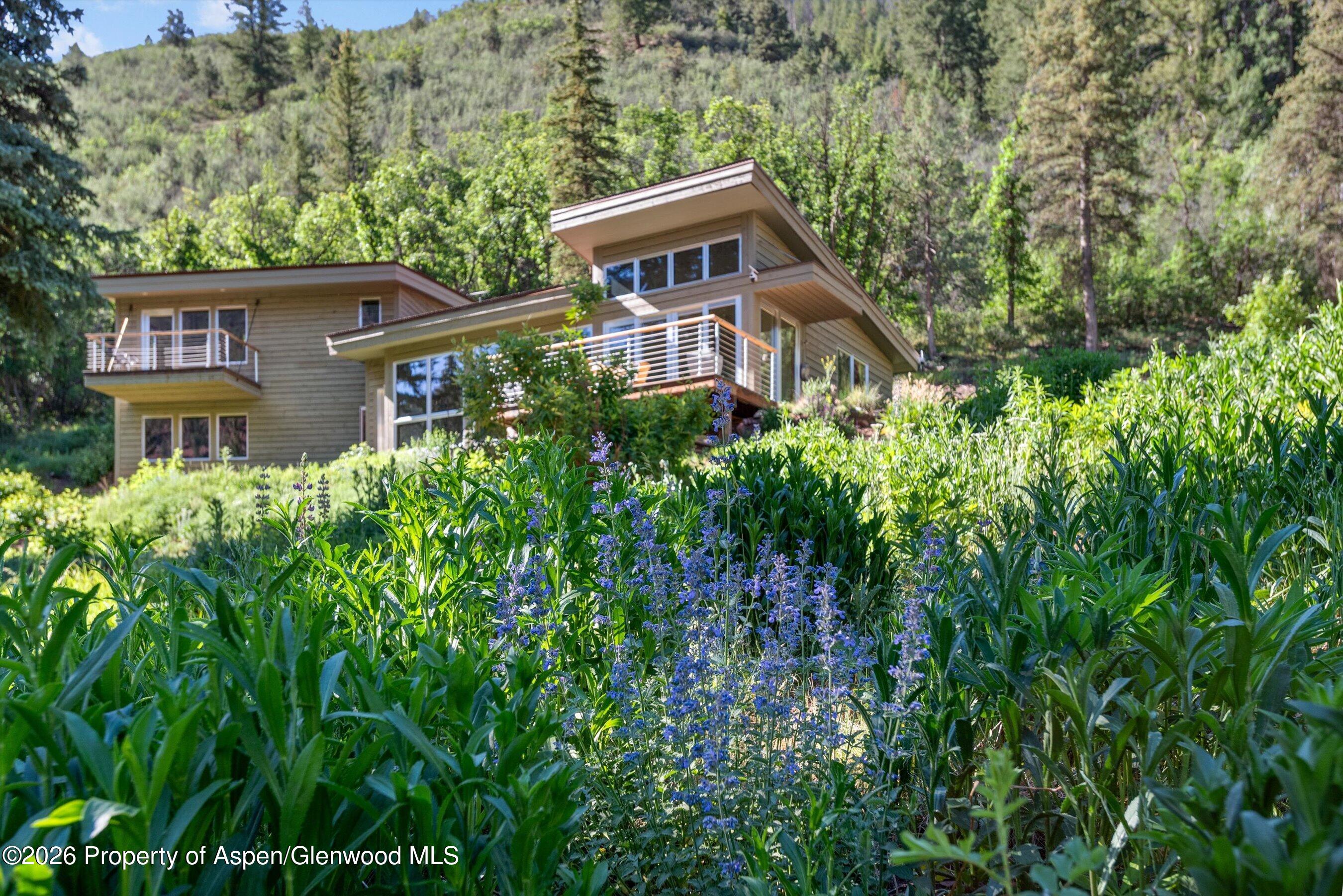 768 Kings Lake Road Basalt CO 81621