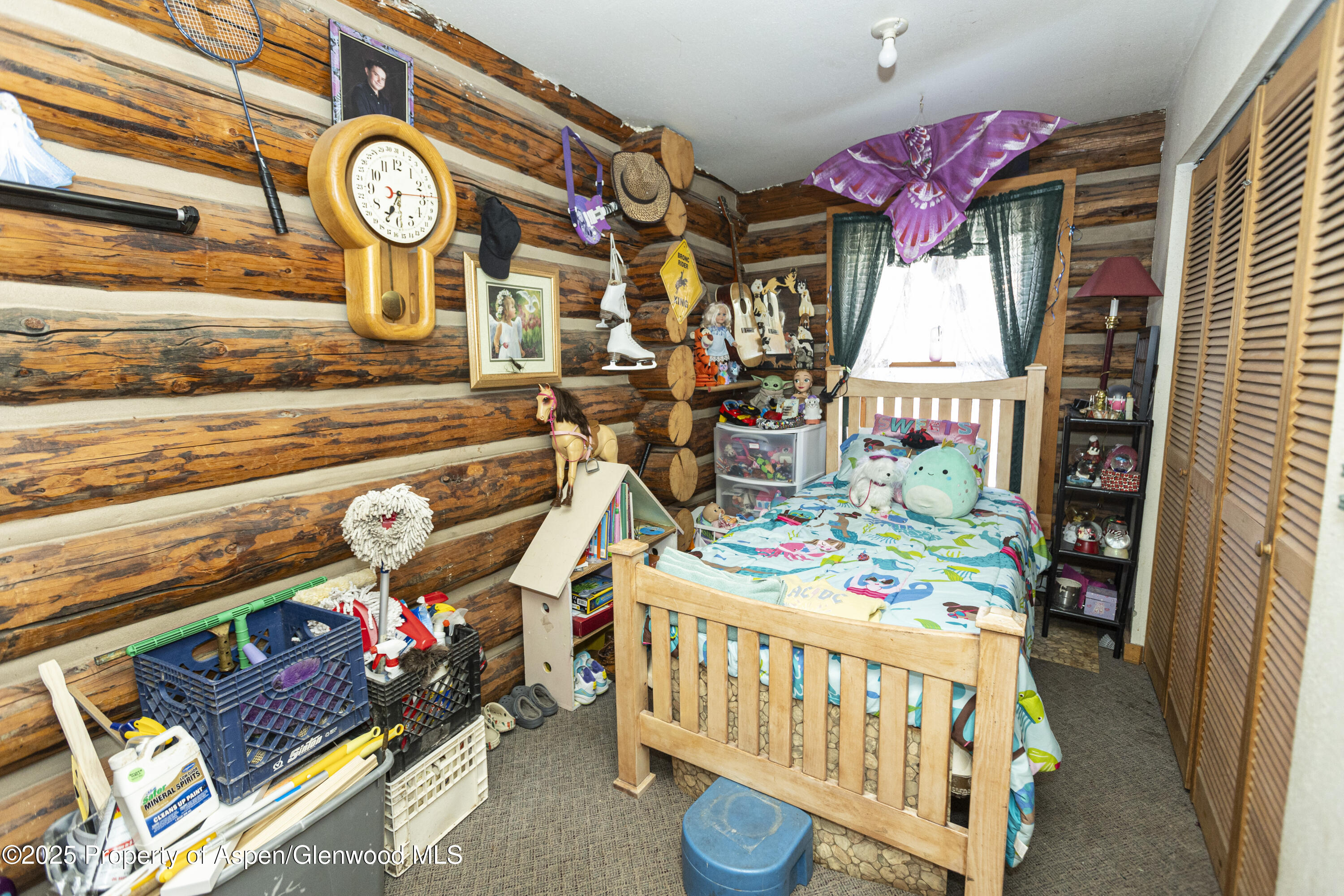 938 County Road 106 Carbondale CO 81623