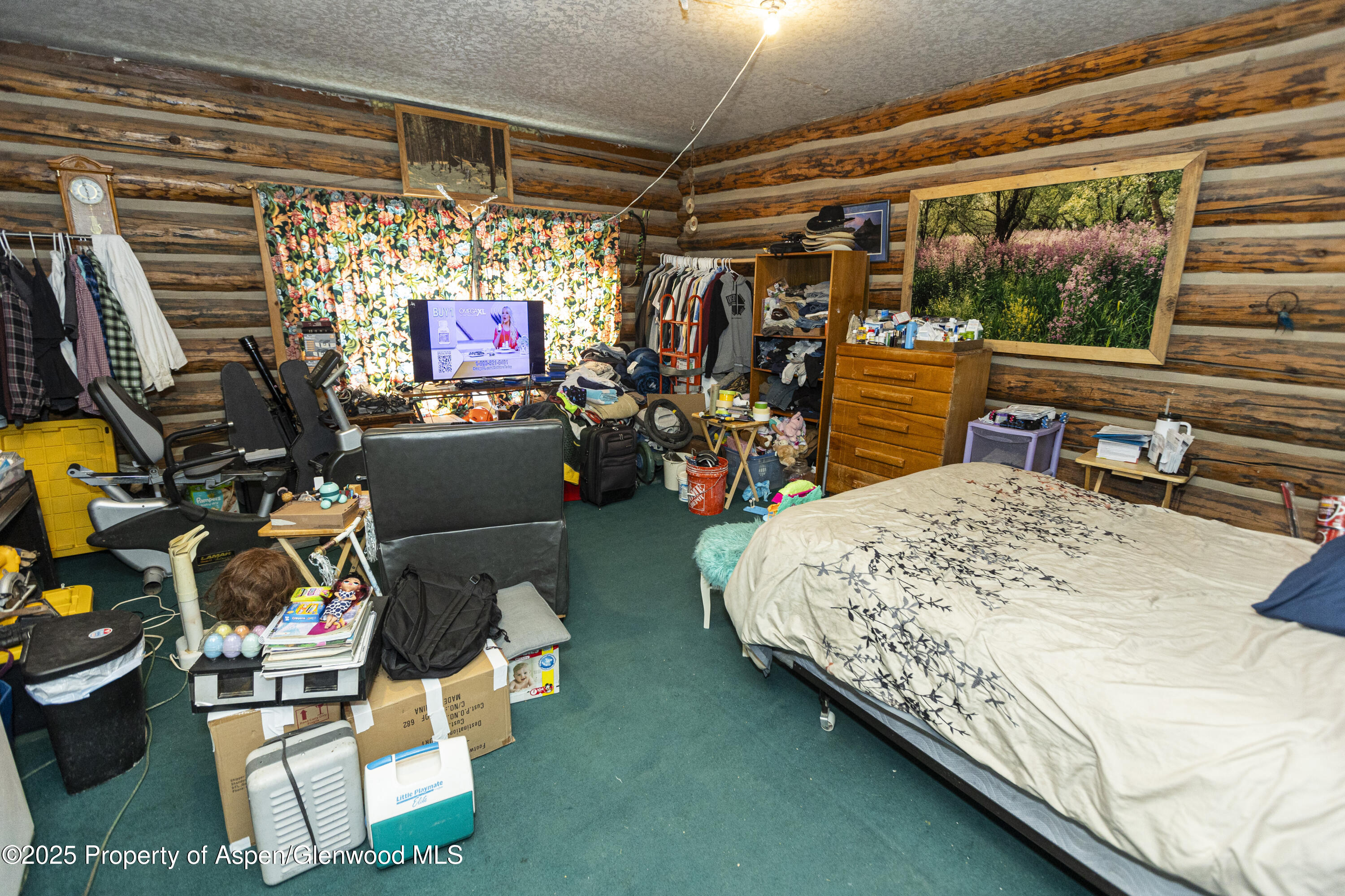 938 County Road 106 Carbondale CO 81623