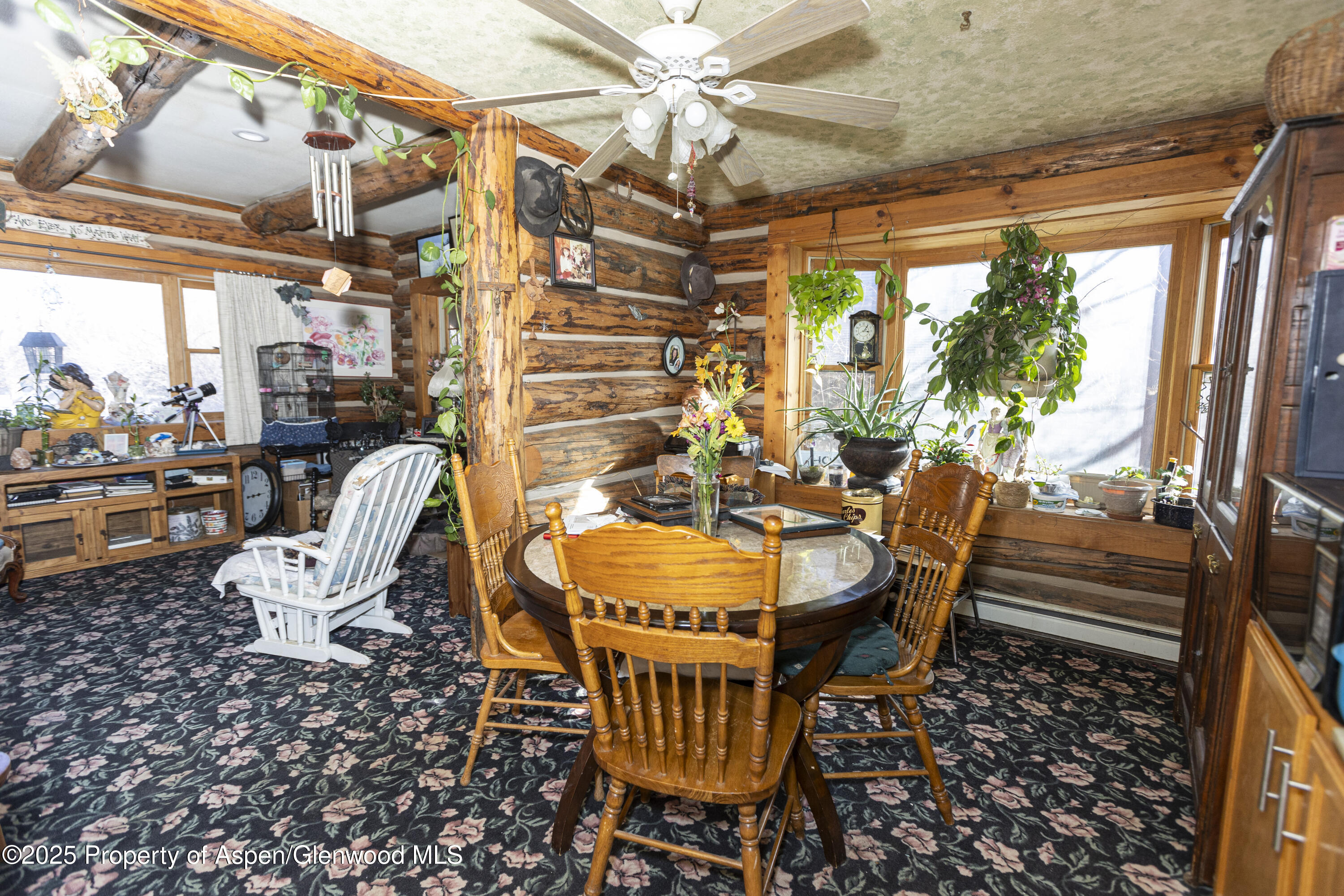 938 County Road 106 Carbondale CO 81623