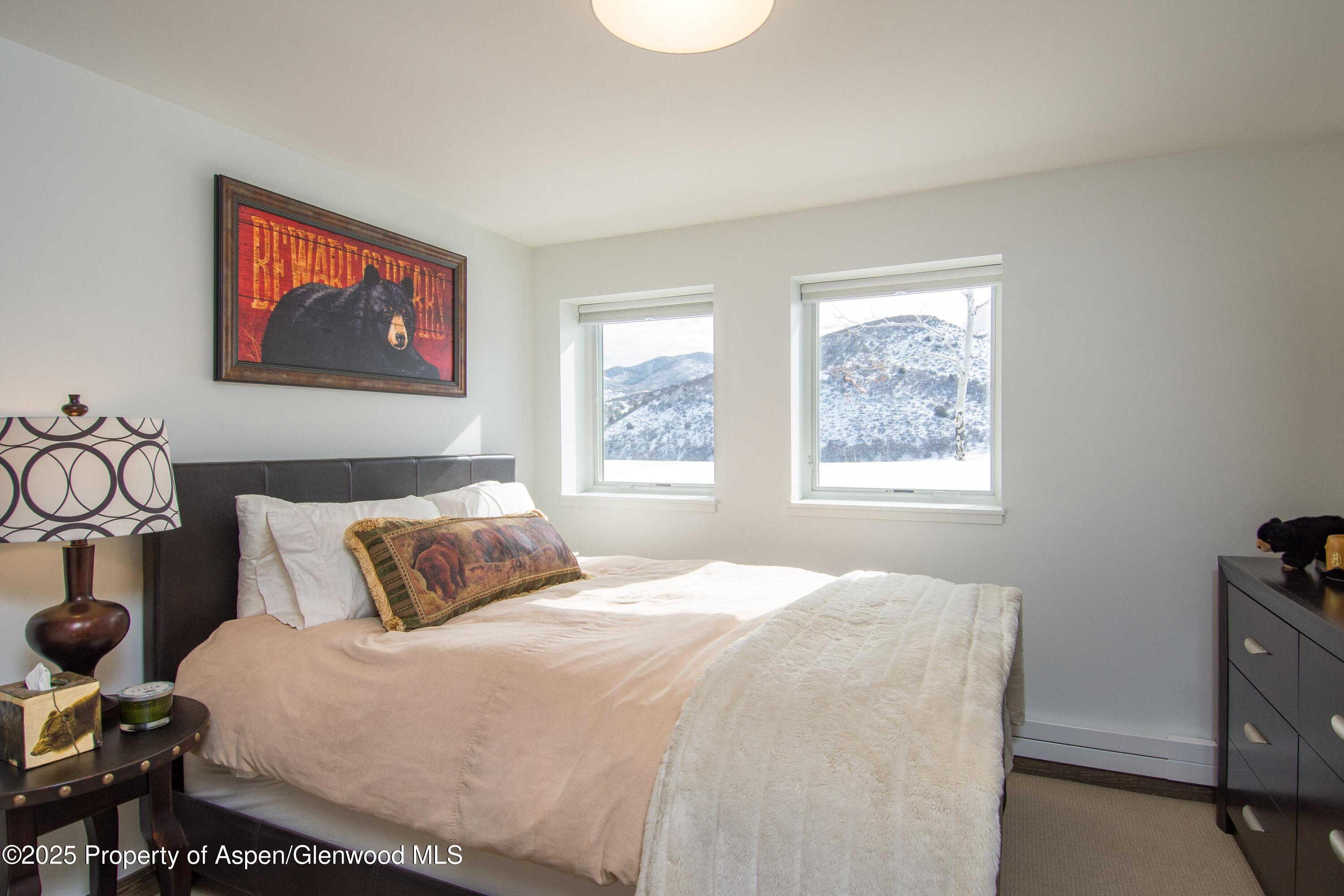 551 Brush Creek Road Aspen CO 81611