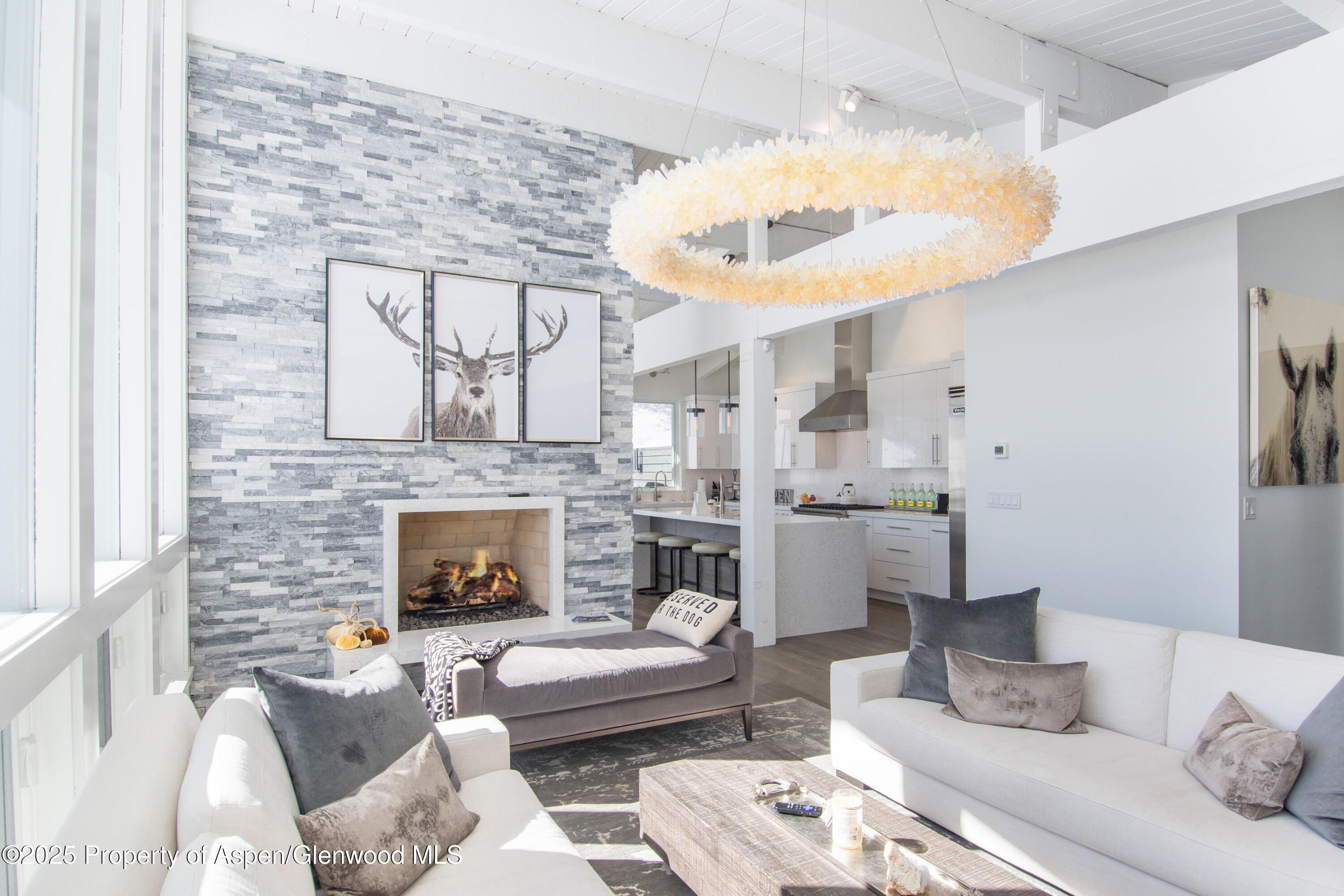 551 Brush Creek Road Aspen CO 81611