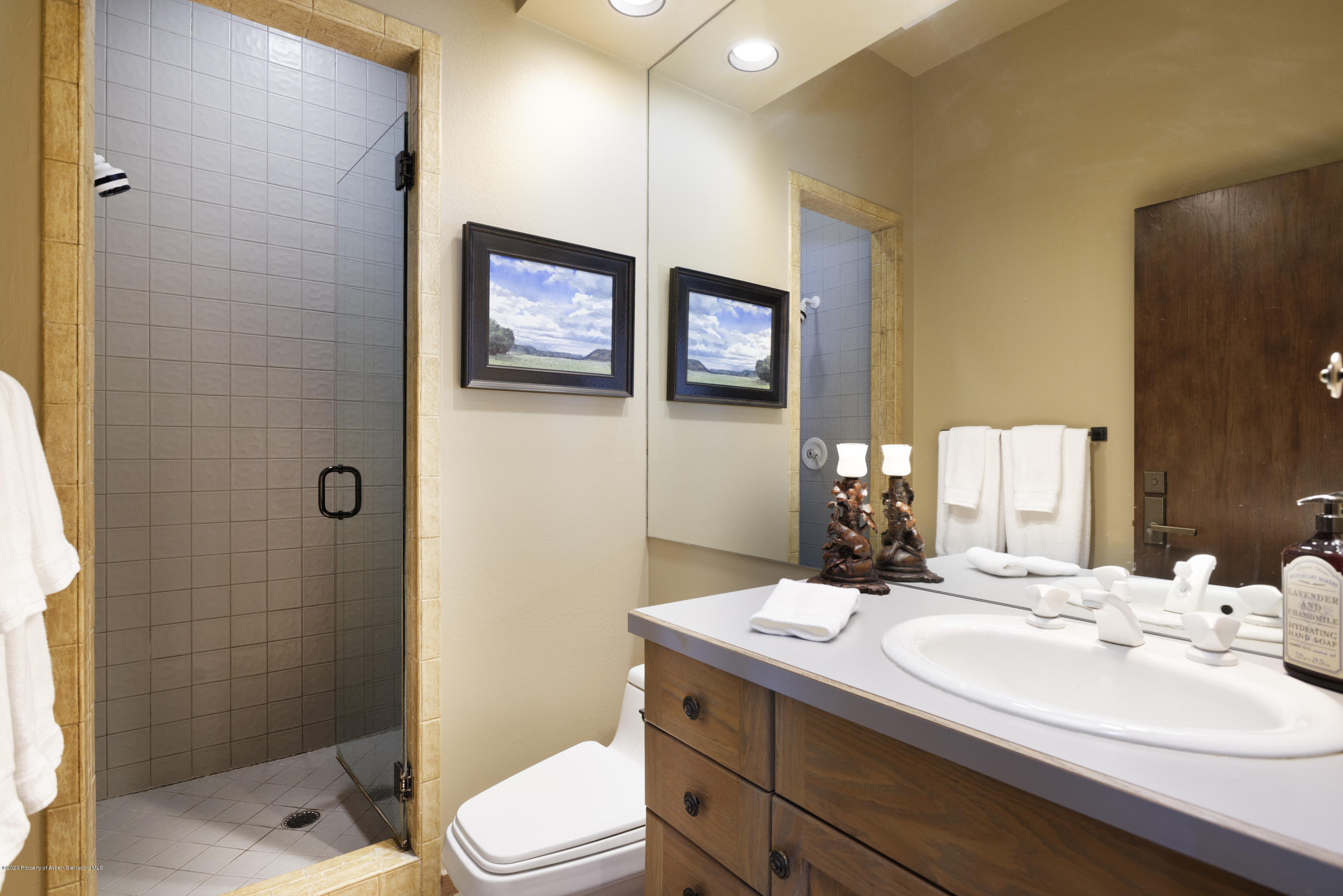 2307 Faraway Road Snowmass Village CO 81615