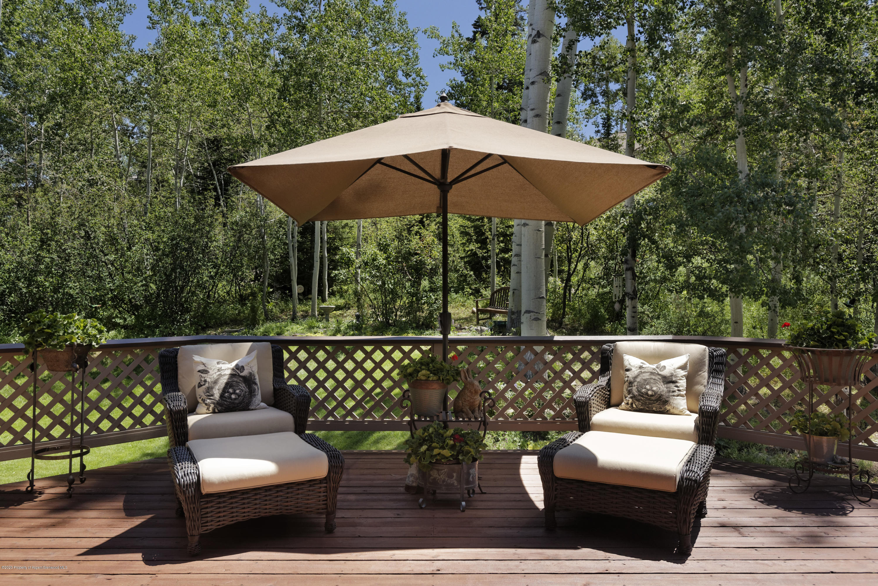 2307 Faraway Road Snowmass Village CO 81615