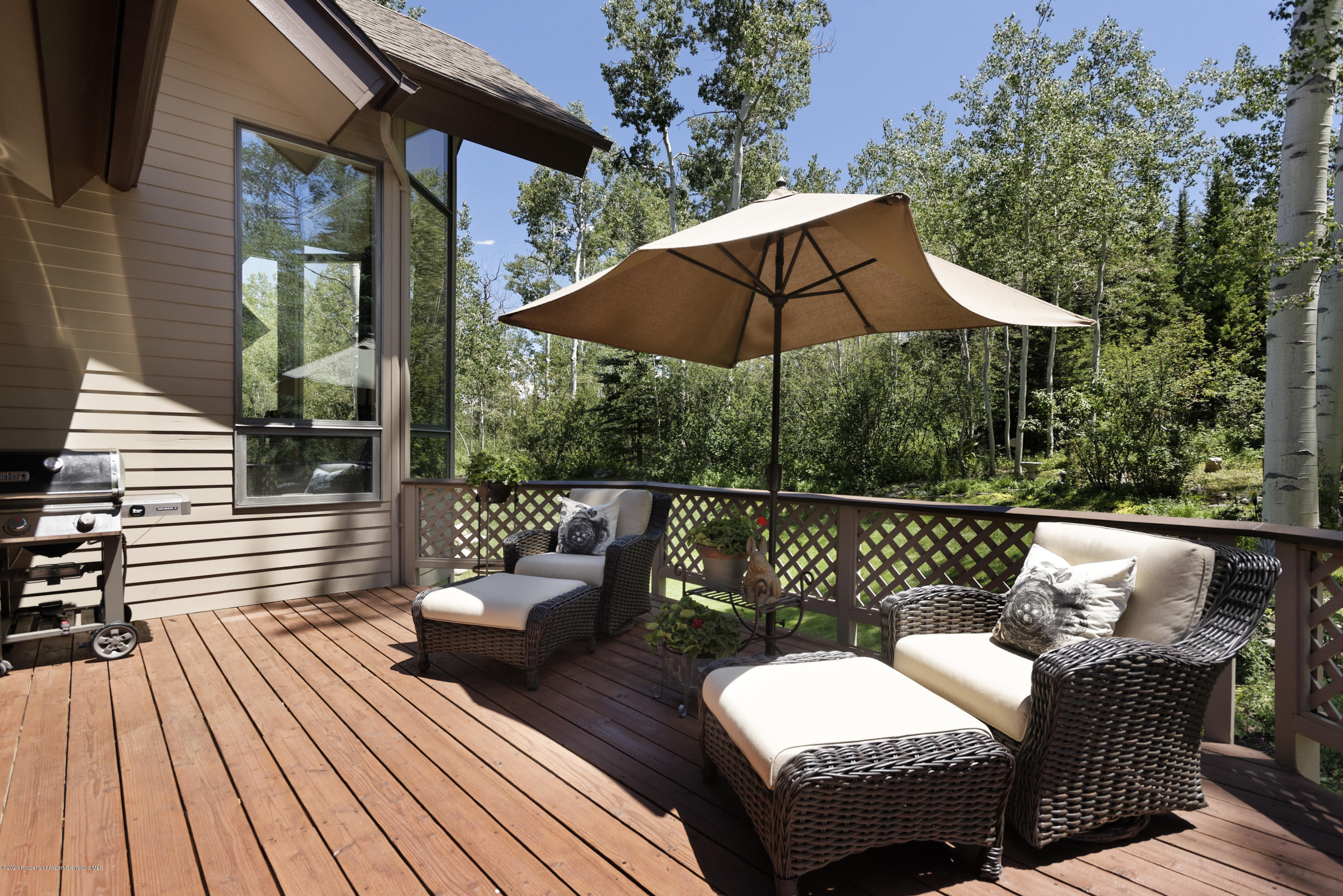 2307 Faraway Road Snowmass Village CO 81615