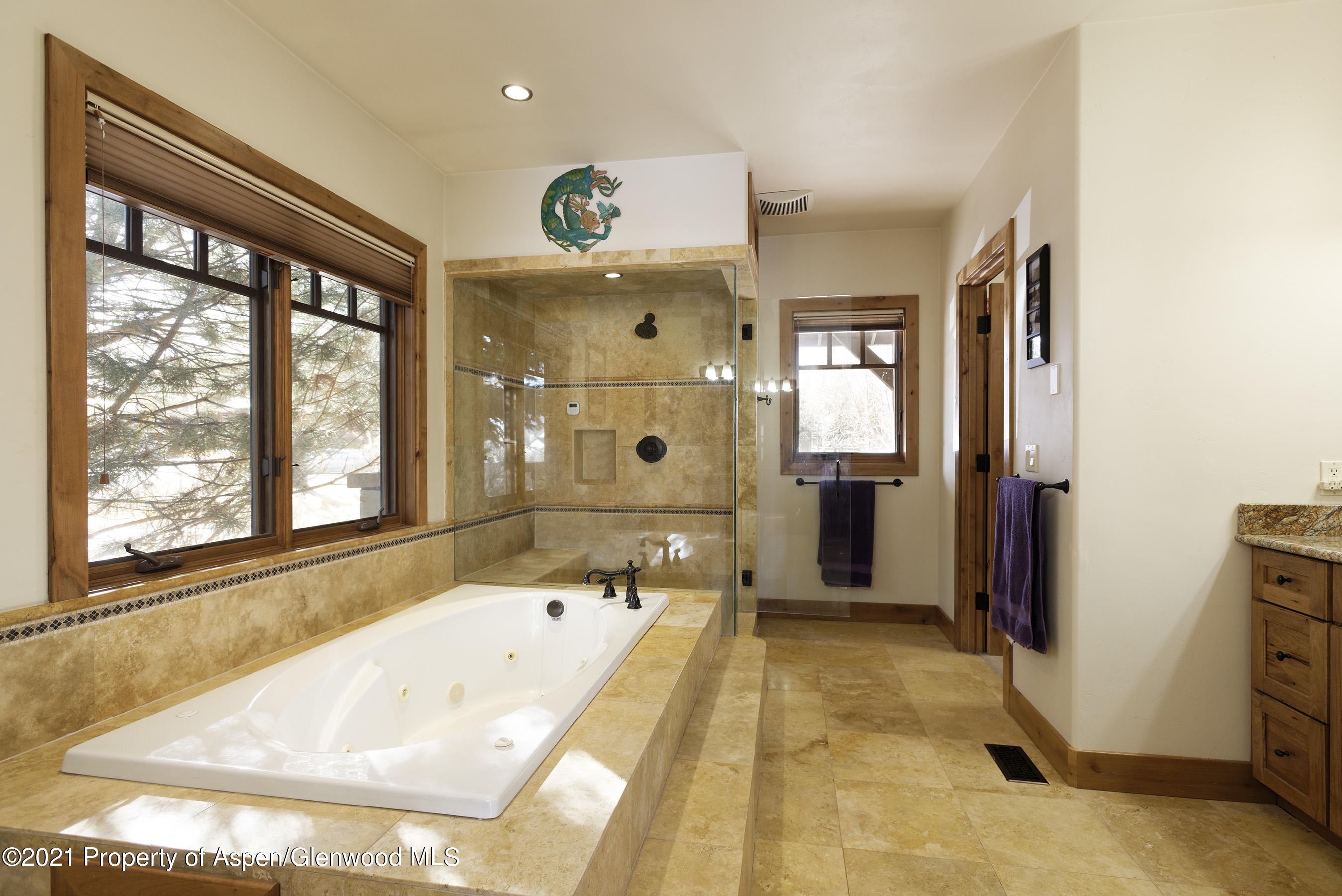 4153 Crystal Bridge Drive Carbondale CO 81623