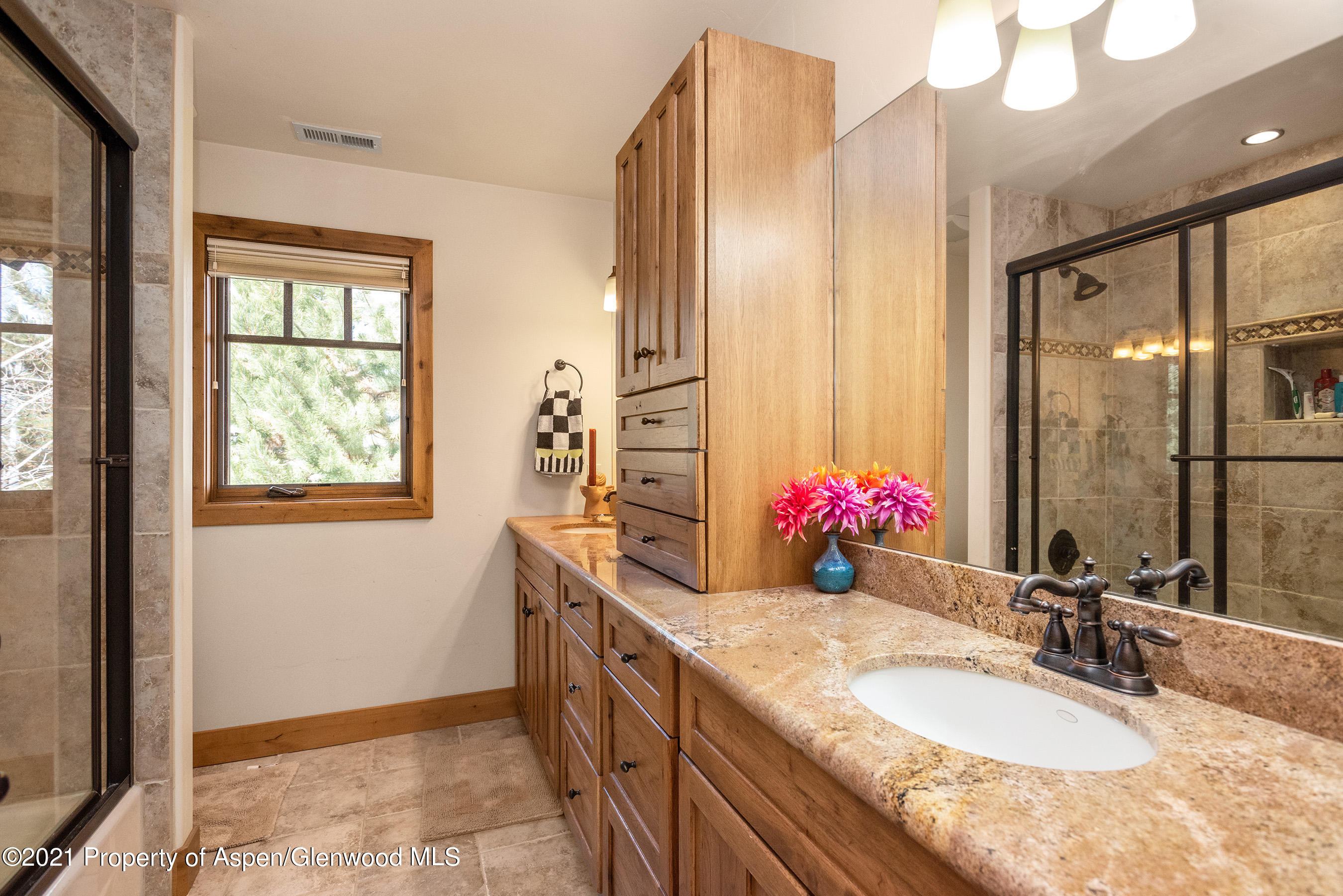 4153 Crystal Bridge Drive Carbondale CO 81623