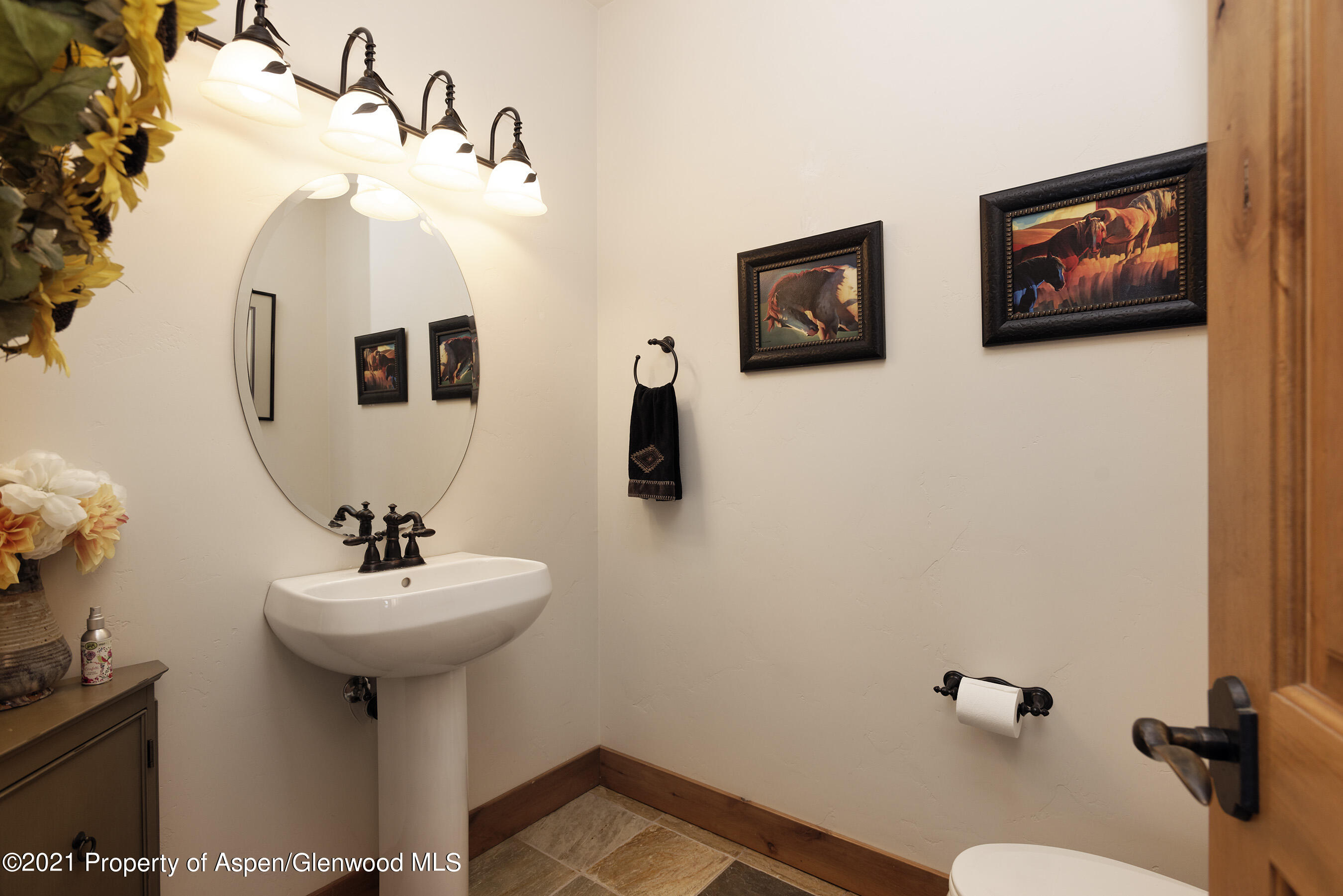 4153 Crystal Bridge Drive Carbondale CO 81623