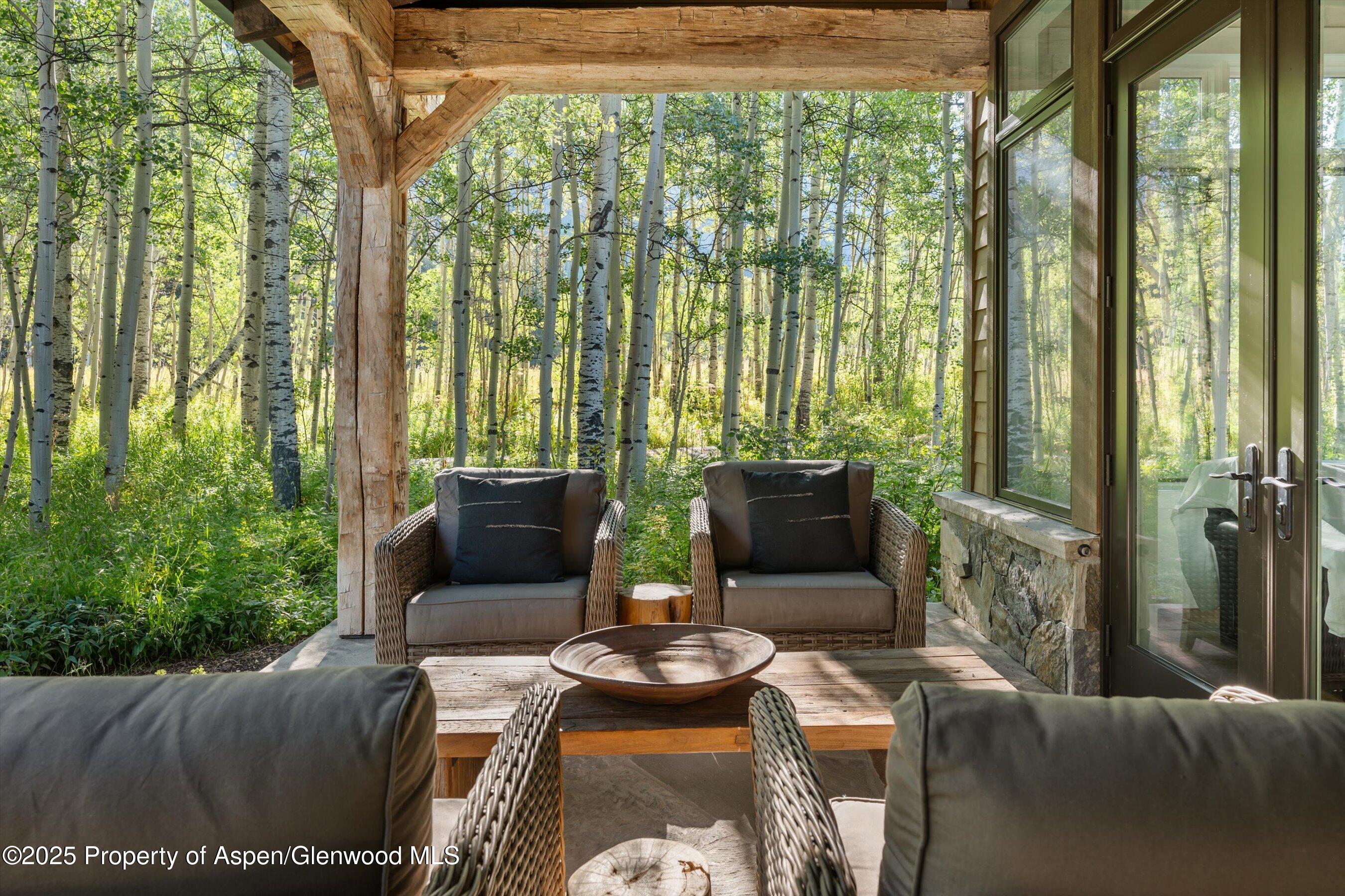 9555 Castle Creek Road Aspen CO 81611