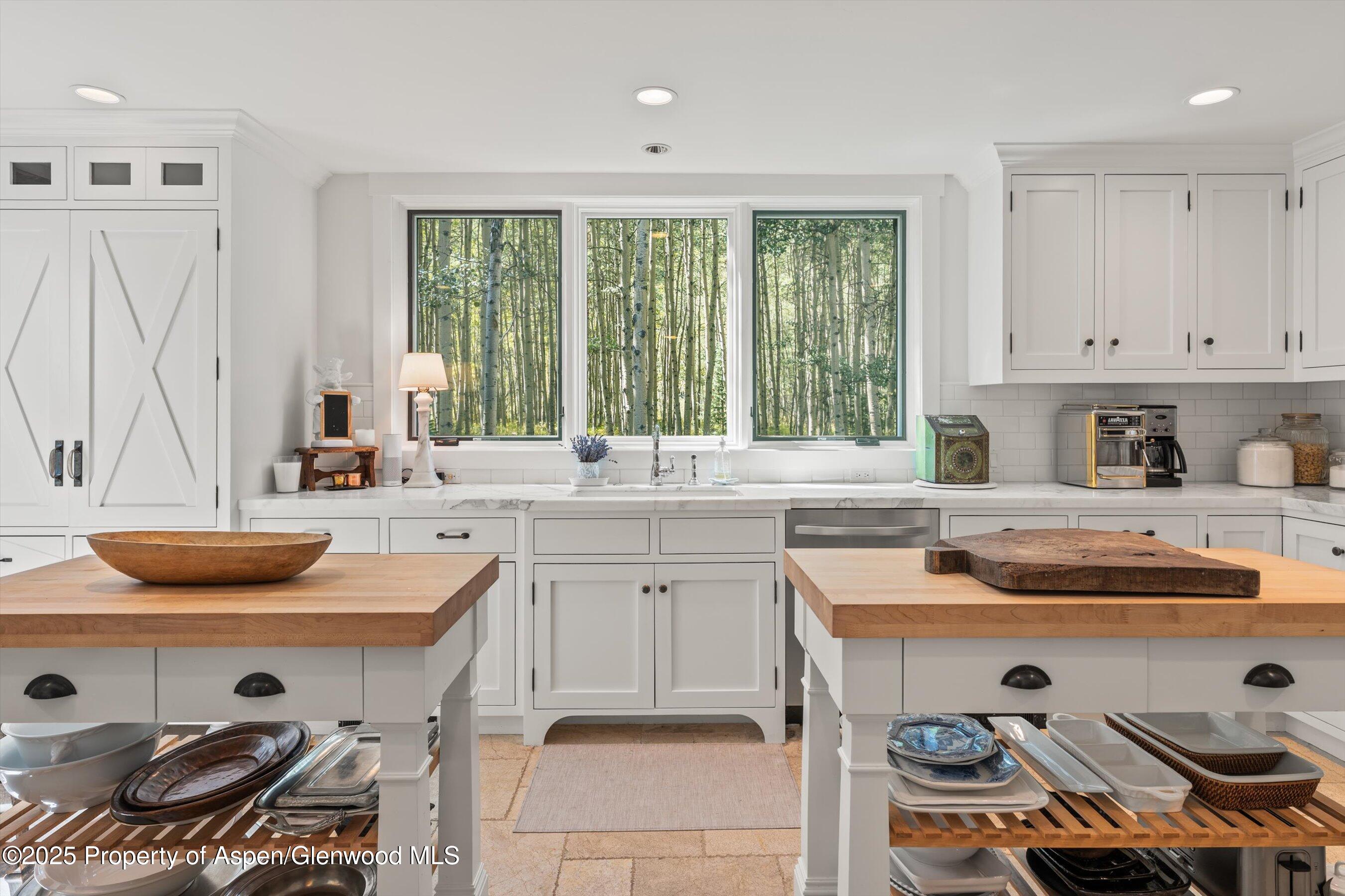 9555 Castle Creek Road Aspen CO 81611