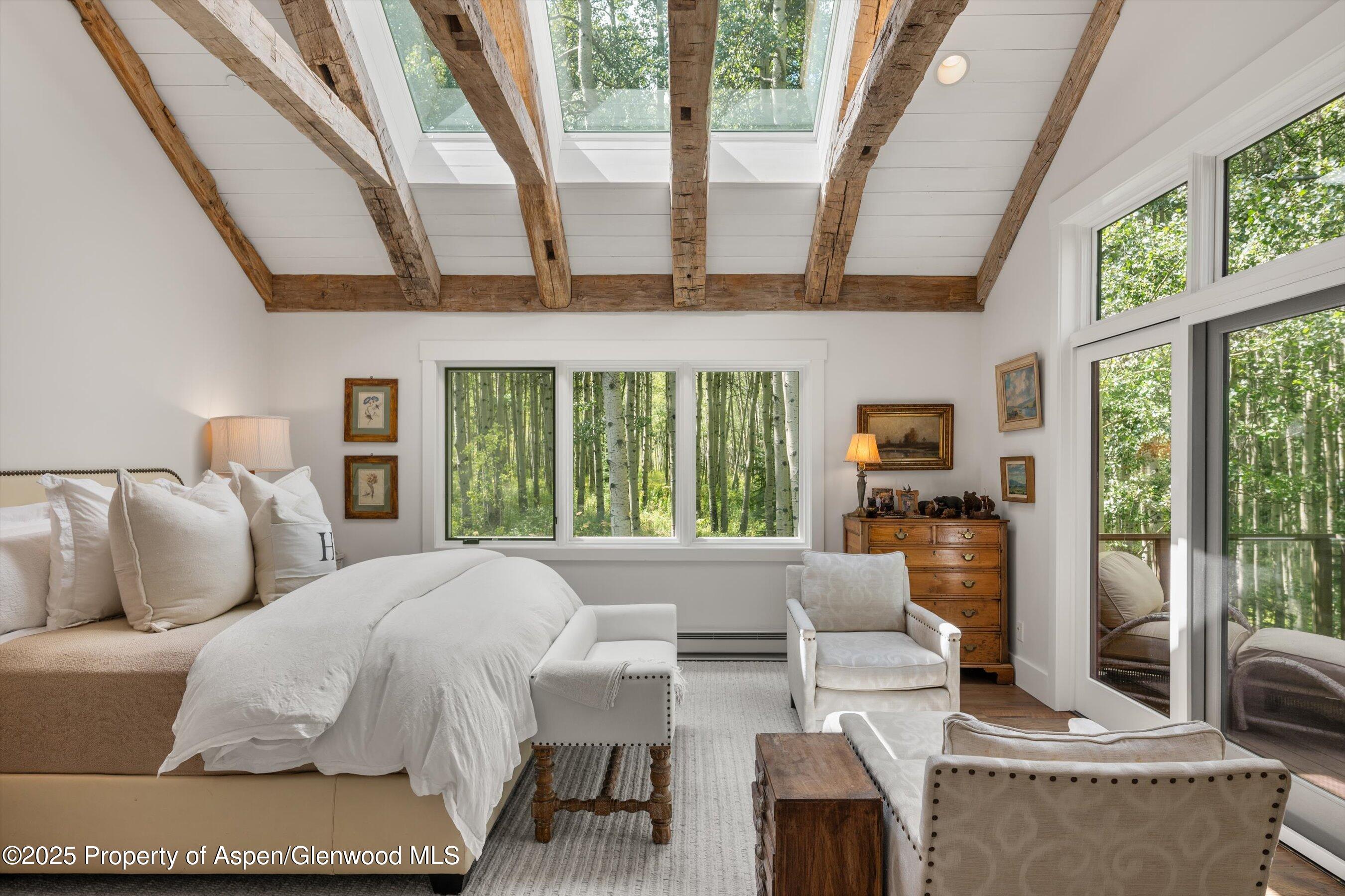 9555 Castle Creek Road Aspen CO 81611