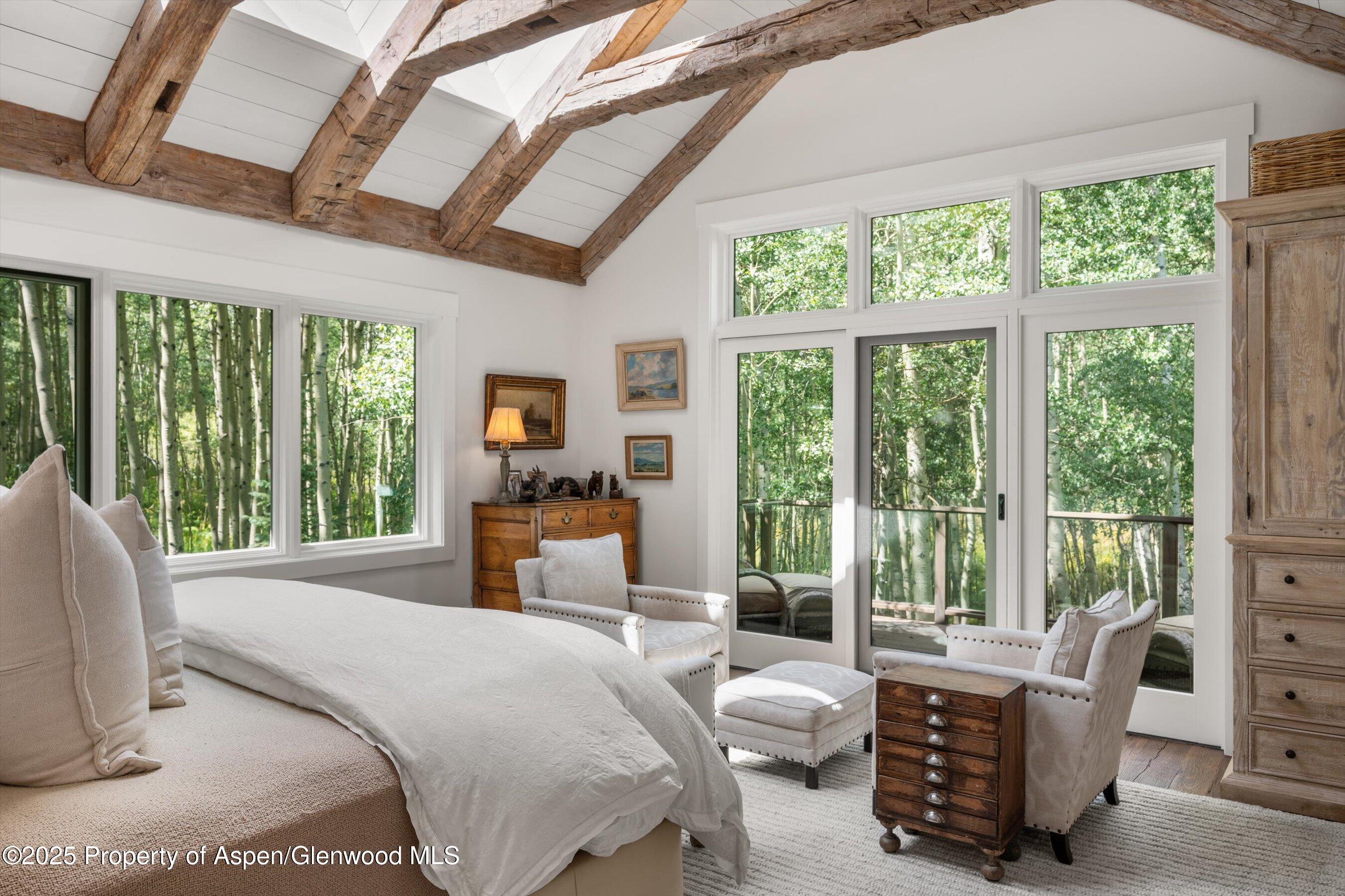 9555 Castle Creek Road Aspen CO 81611