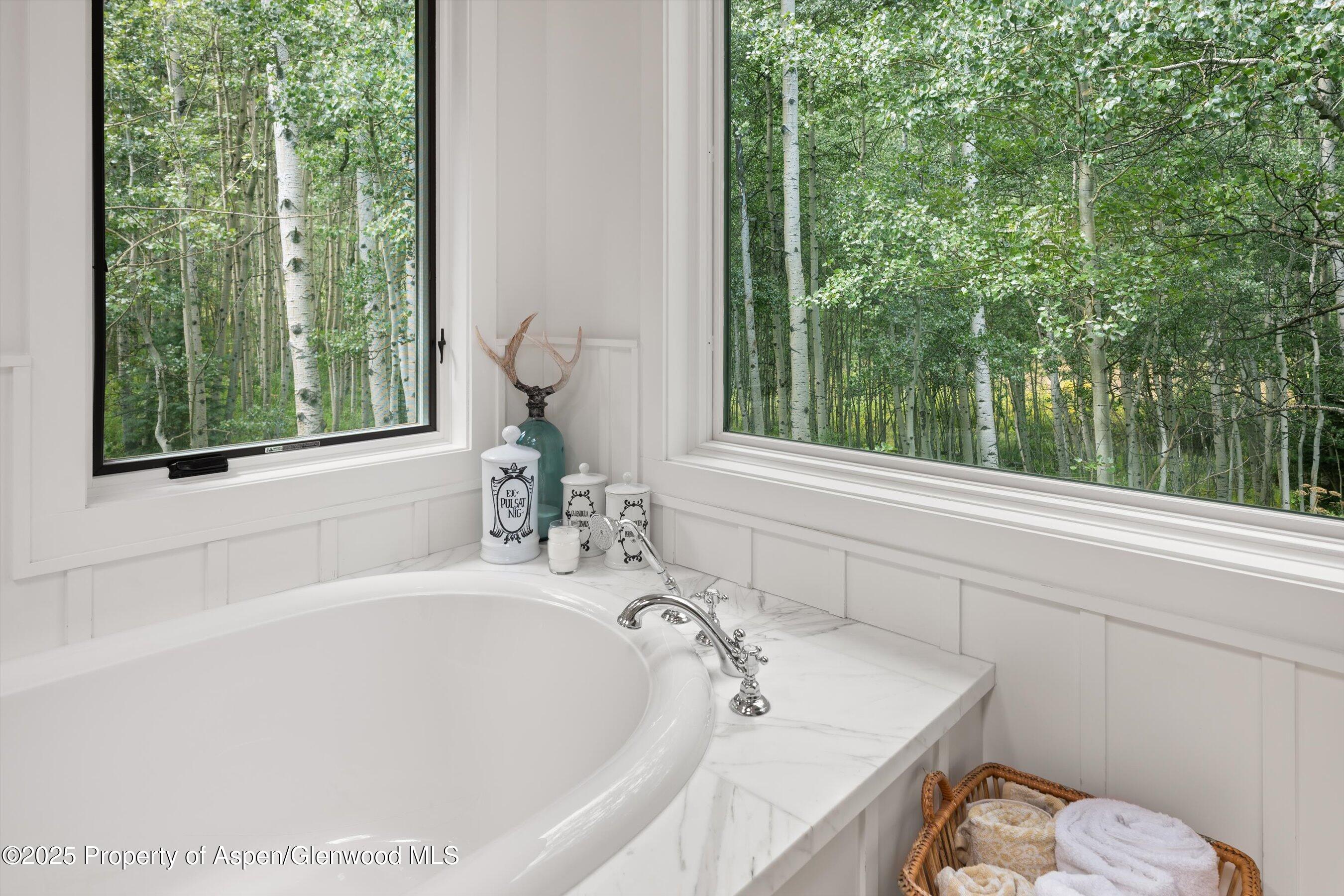 9555 Castle Creek Road Aspen CO 81611