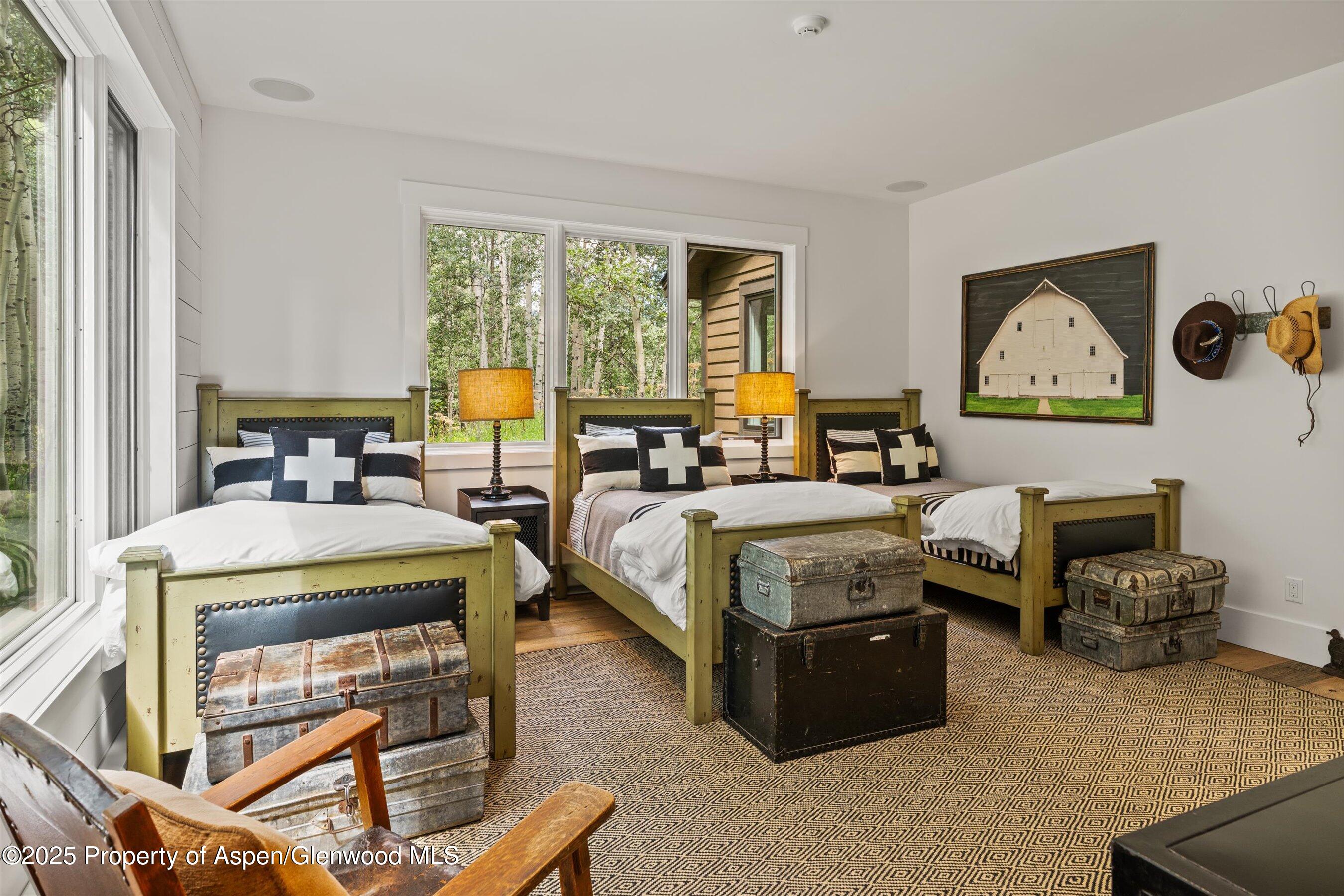 9555 Castle Creek Road Aspen CO 81611