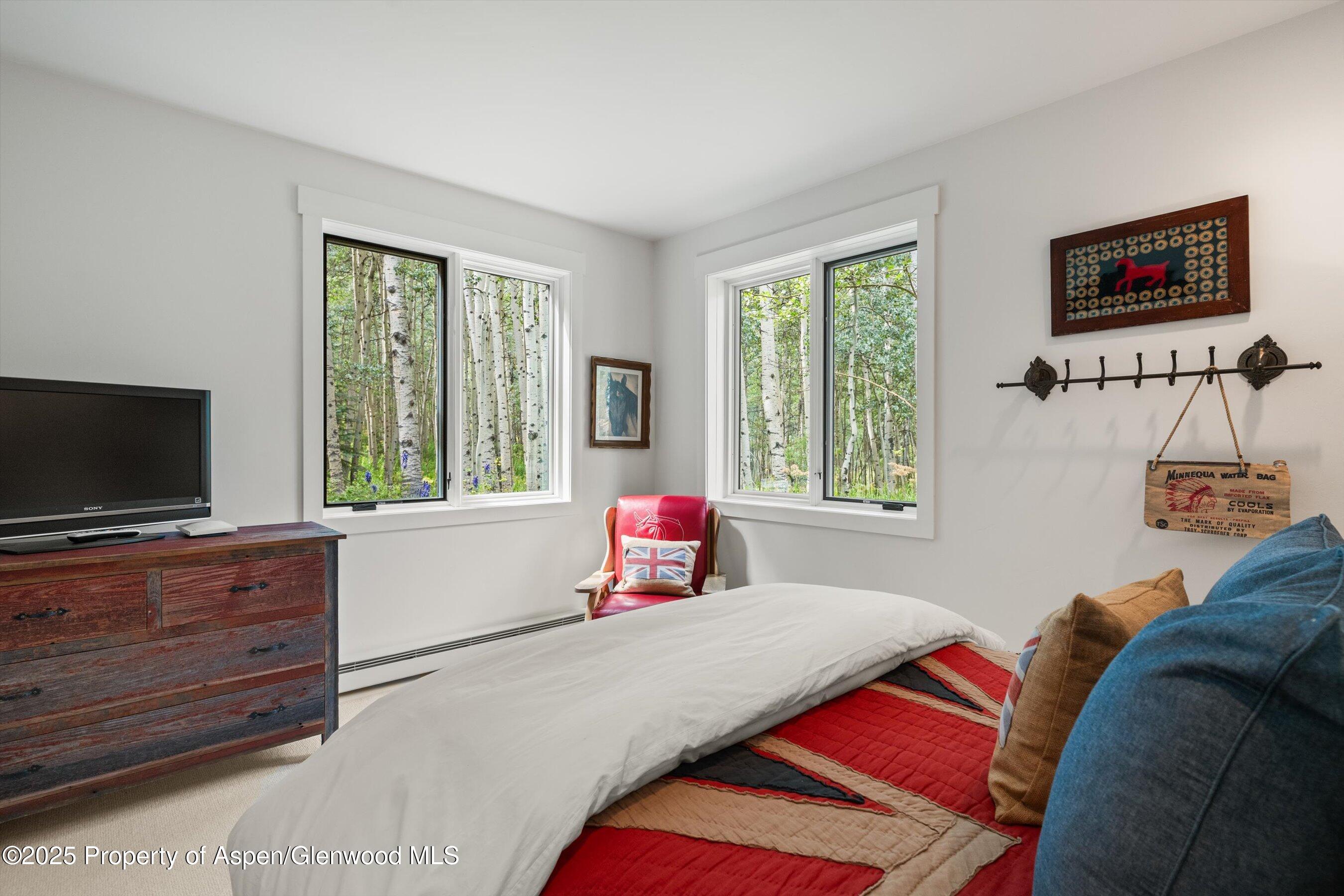 9555 Castle Creek Road Aspen CO 81611