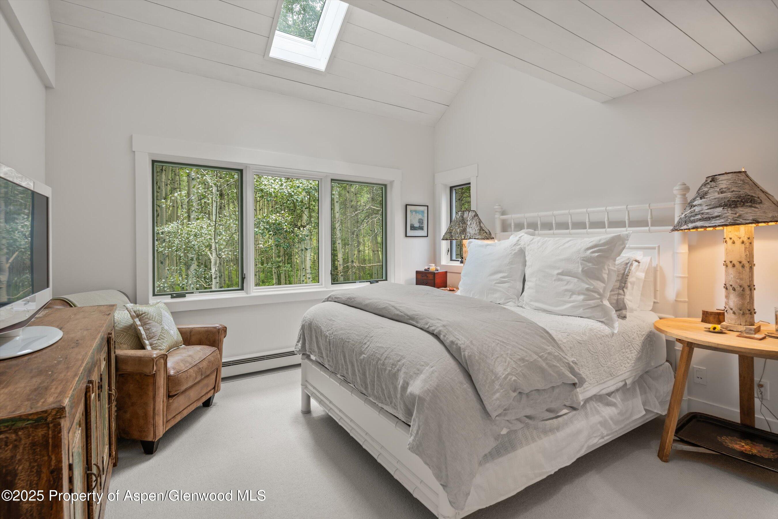 9555 Castle Creek Road Aspen CO 81611