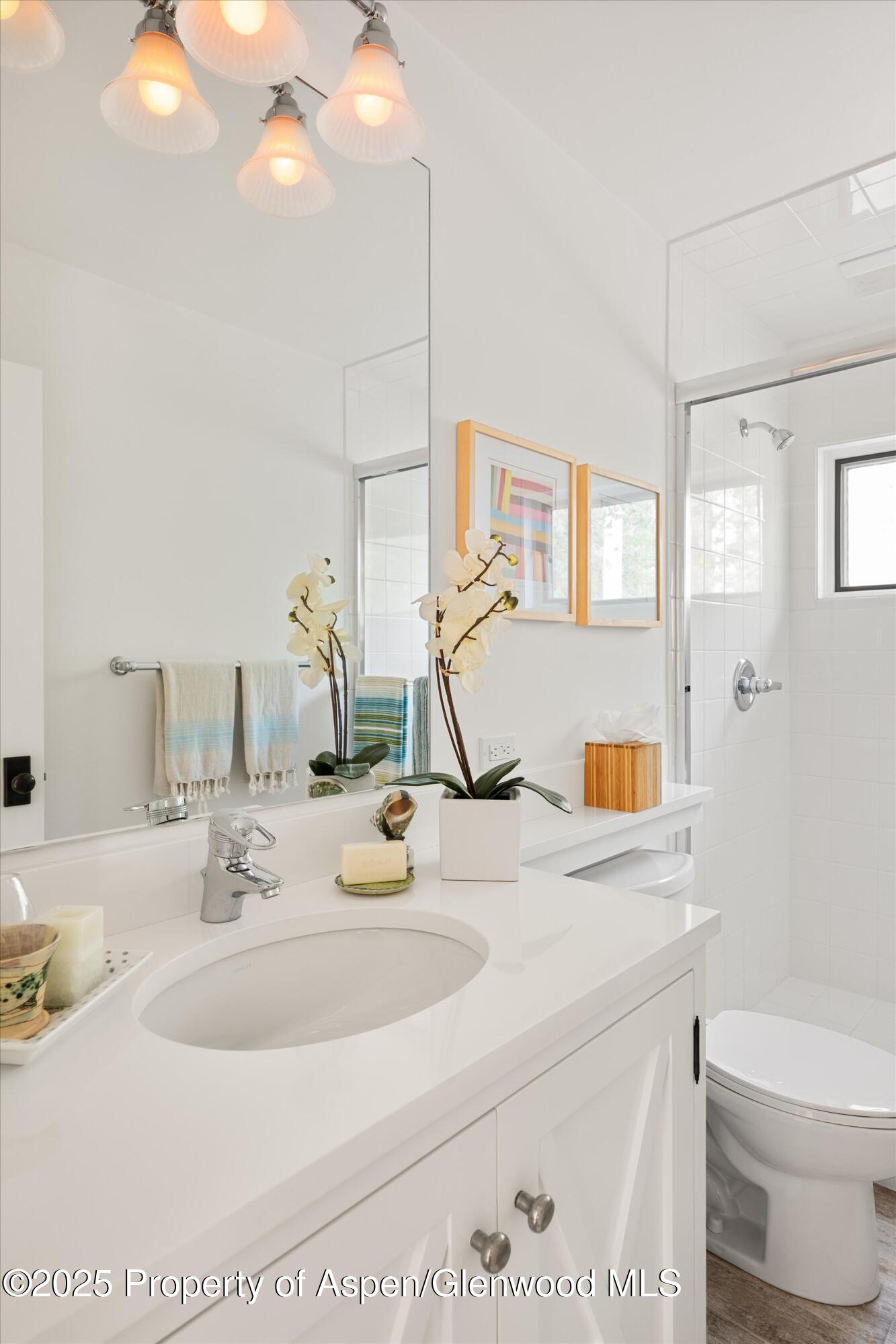 9555 Castle Creek Road Aspen CO 81611