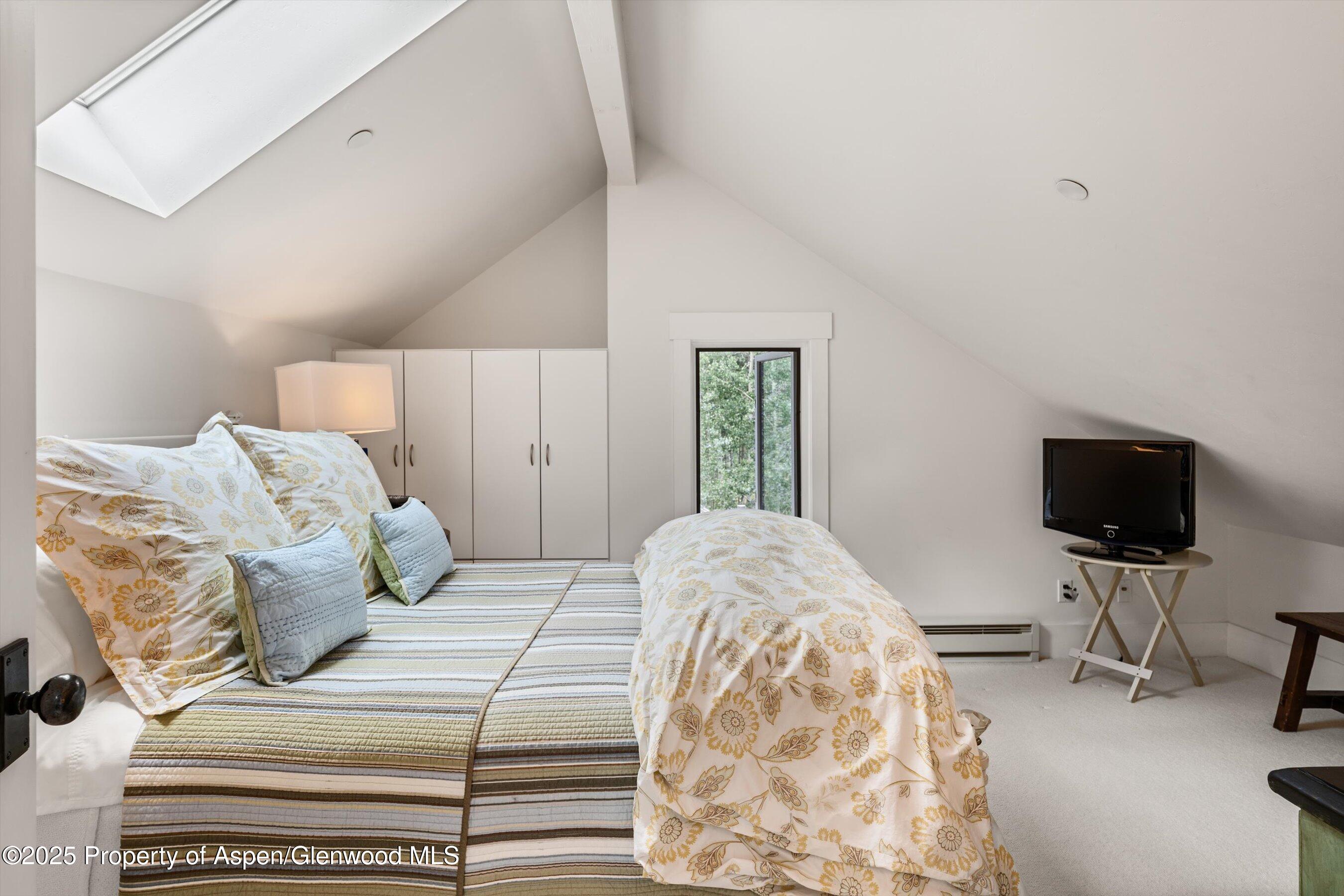 9555 Castle Creek Road Aspen CO 81611