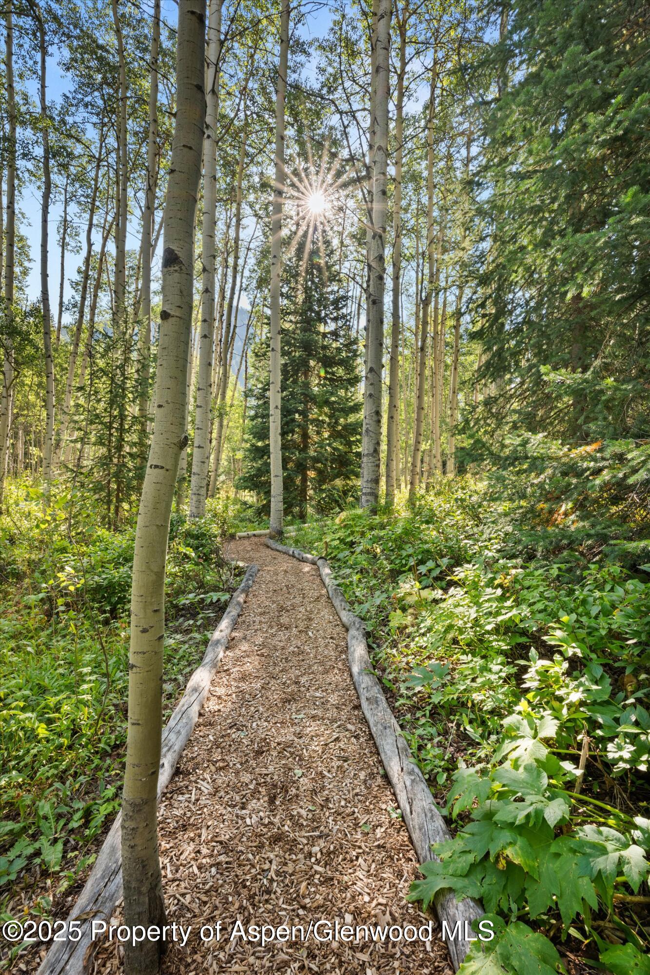 9555 Castle Creek Road Aspen CO 81611