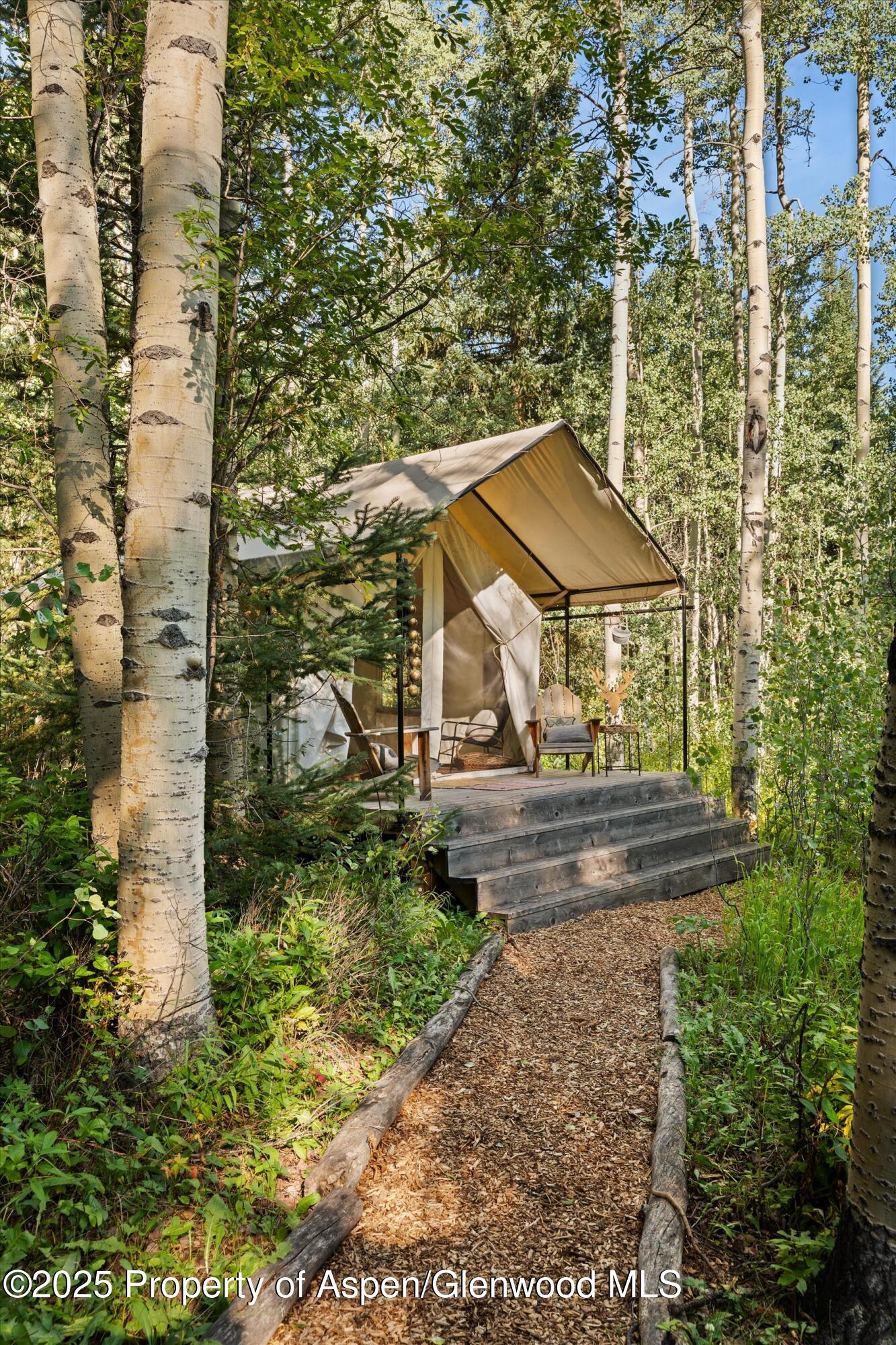 9555 Castle Creek Road Aspen CO 81611