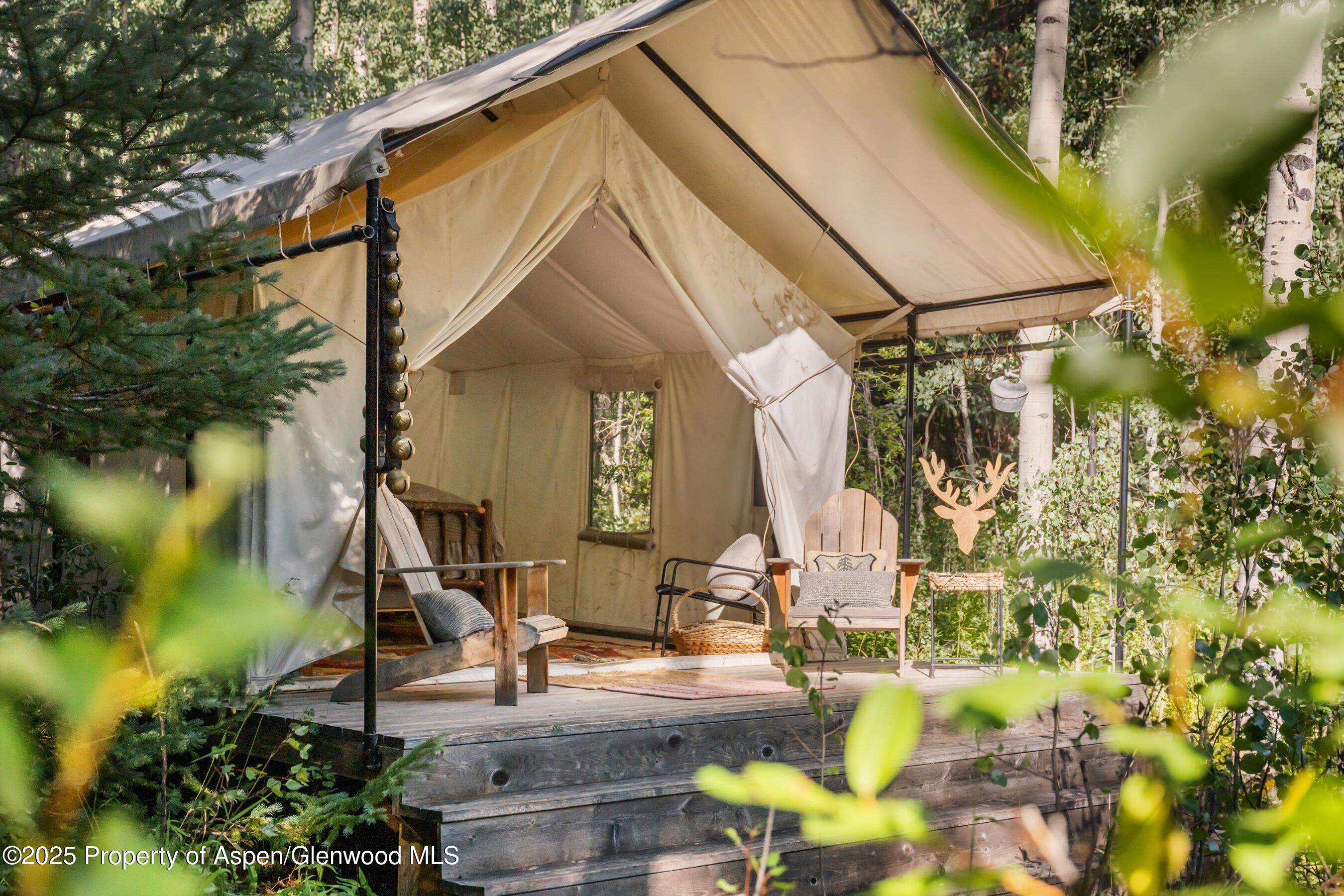 9555 Castle Creek Road Aspen CO 81611