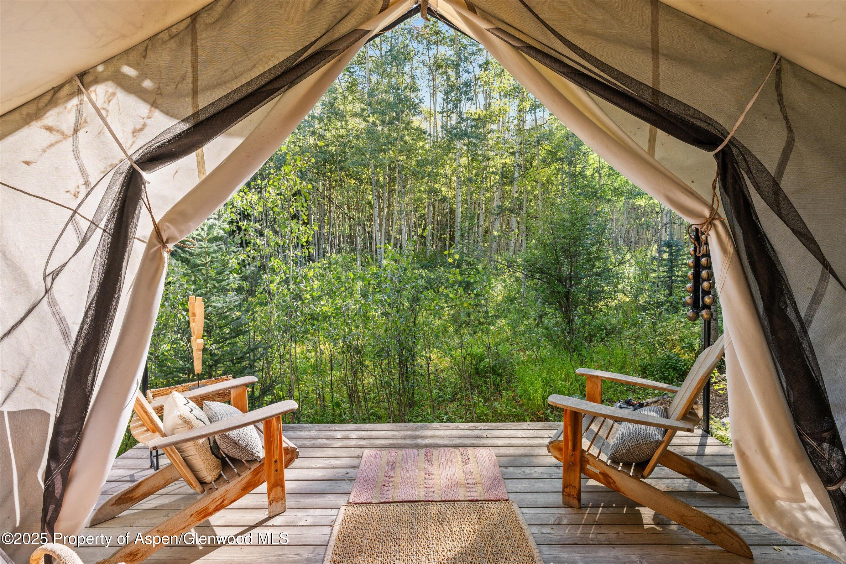 9555 Castle Creek Road Aspen CO 81611