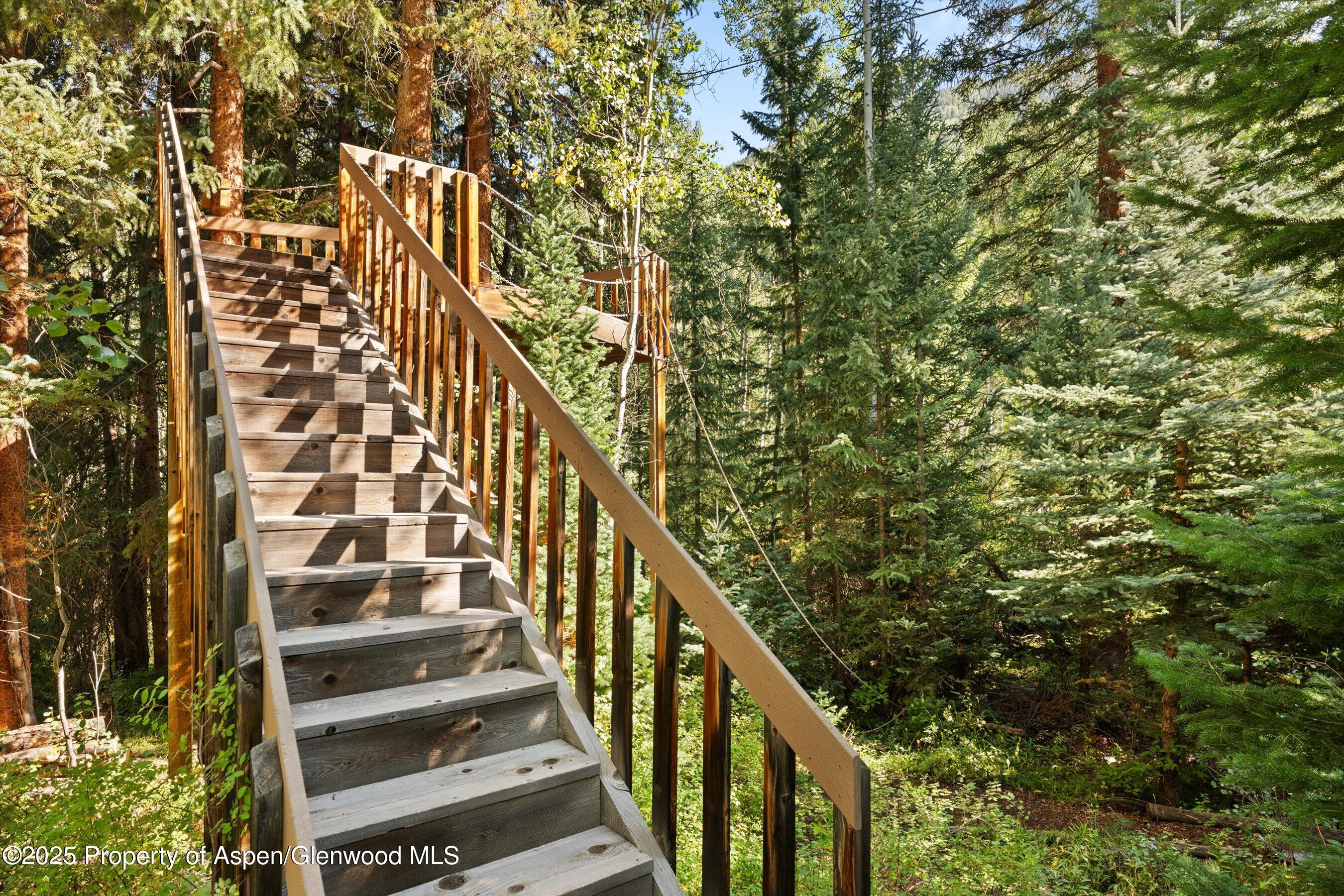 9555 Castle Creek Road Aspen CO 81611