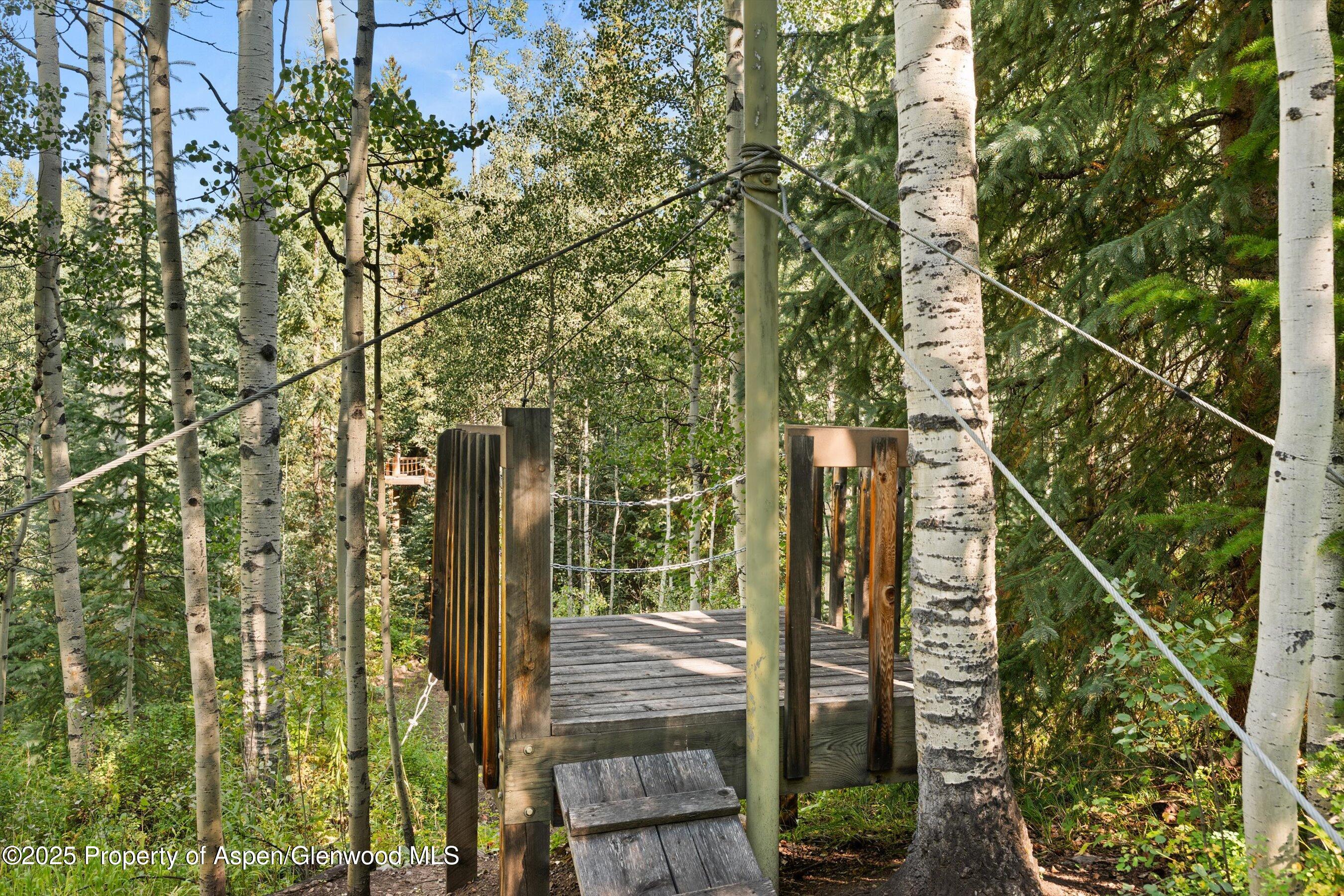 9555 Castle Creek Road Aspen CO 81611